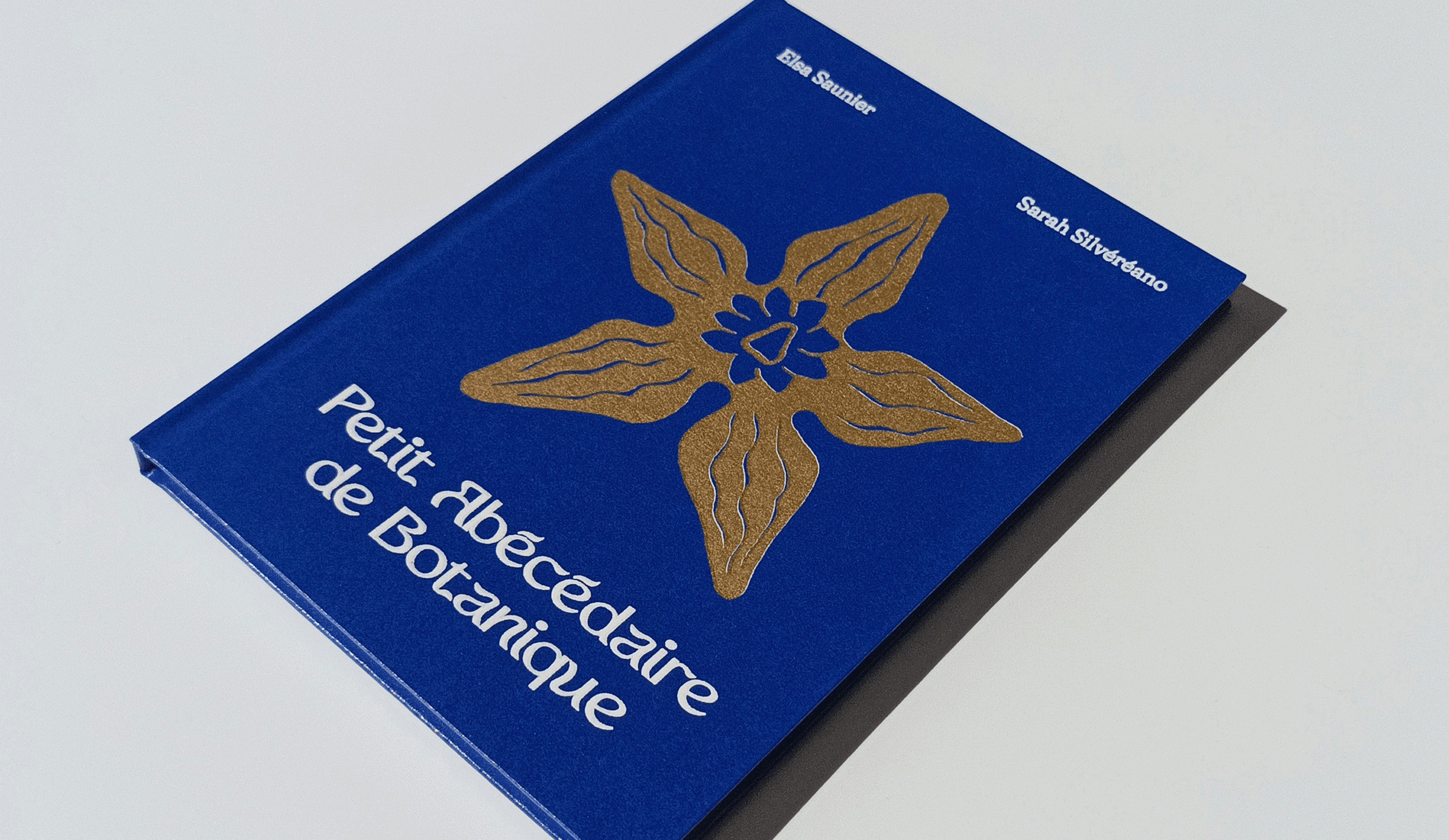 Petit Abécédaire de Botanique