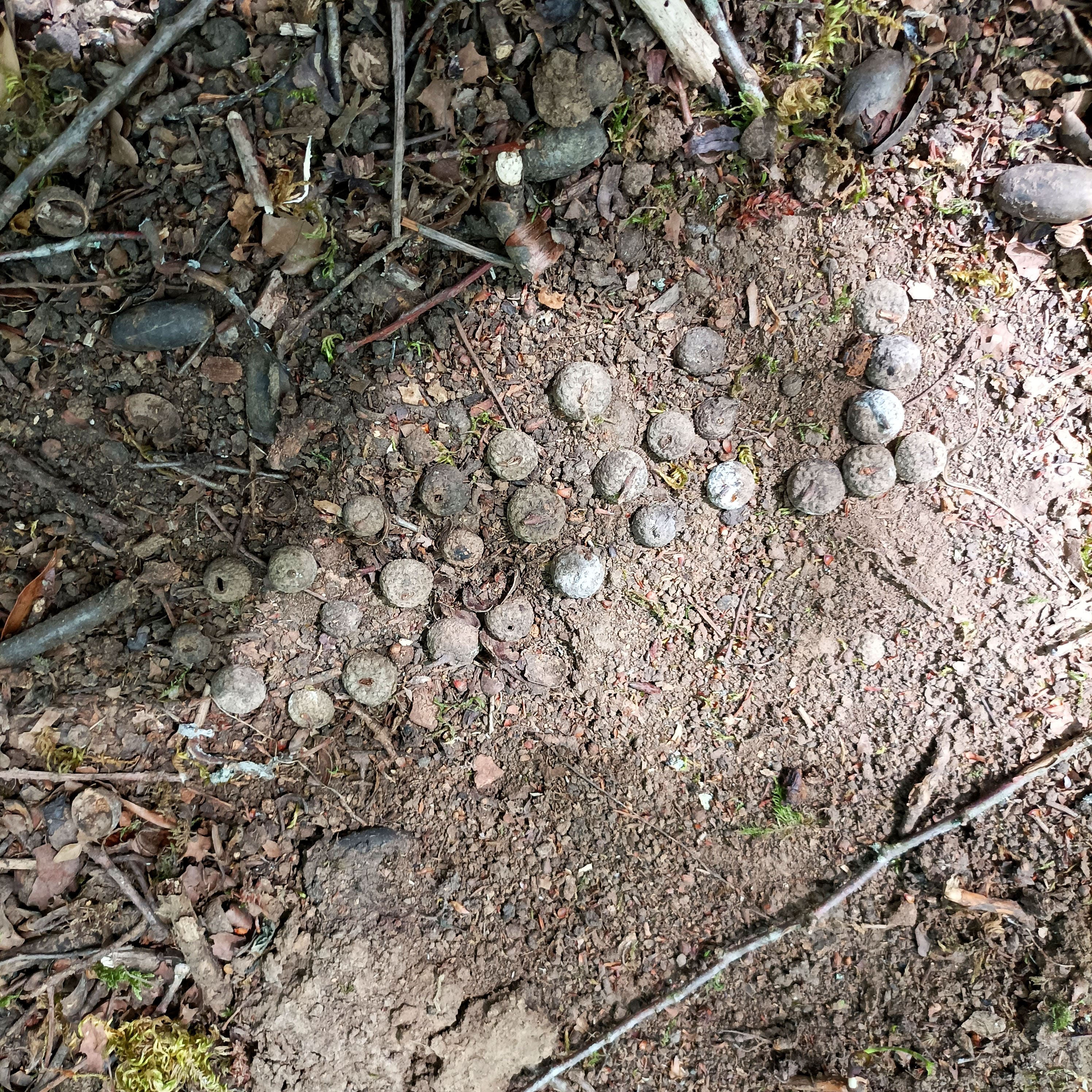 Atelier Maison de Courcelles, typographie enn land-art