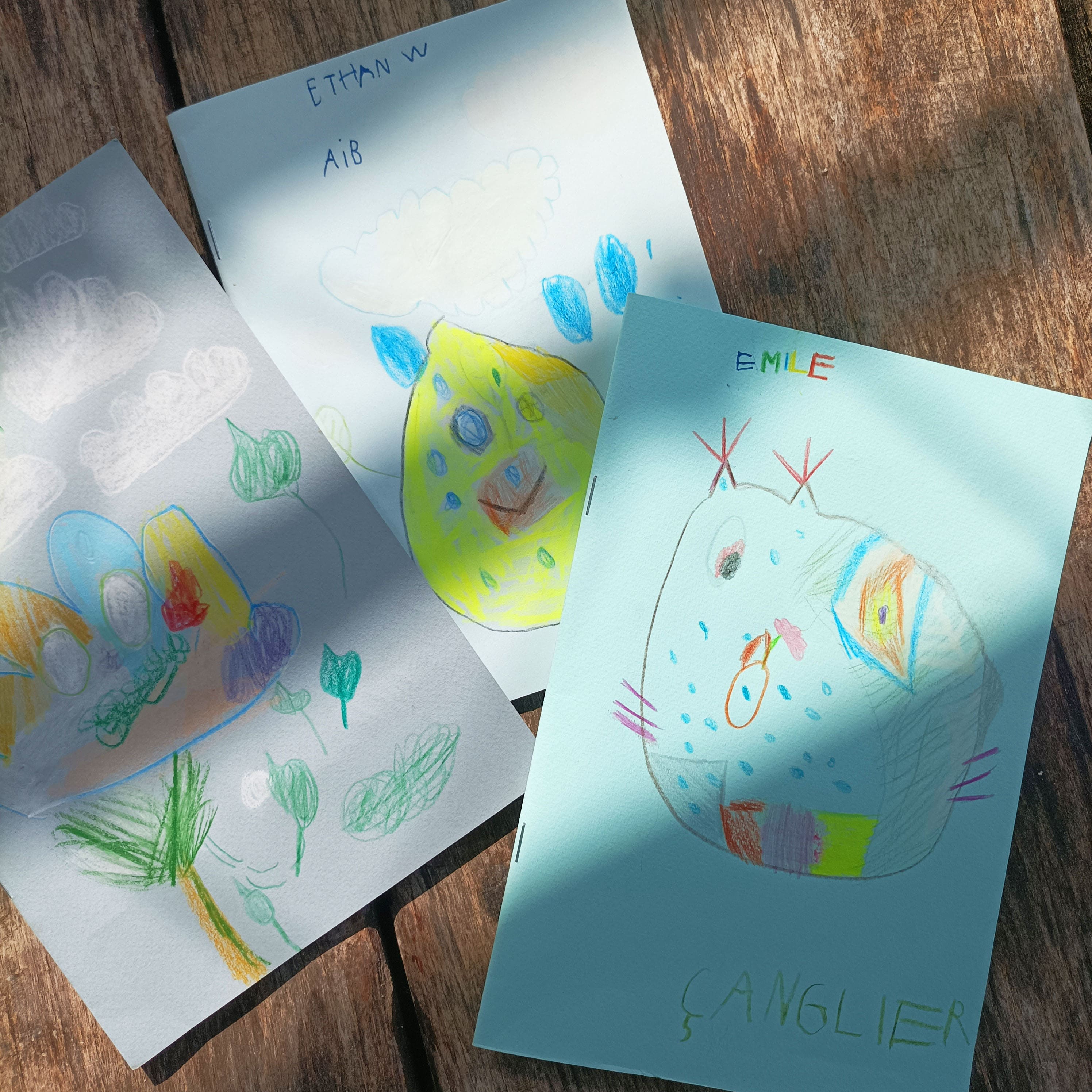 Atelier Maison de Courcelles, carnet de bord, couvertures