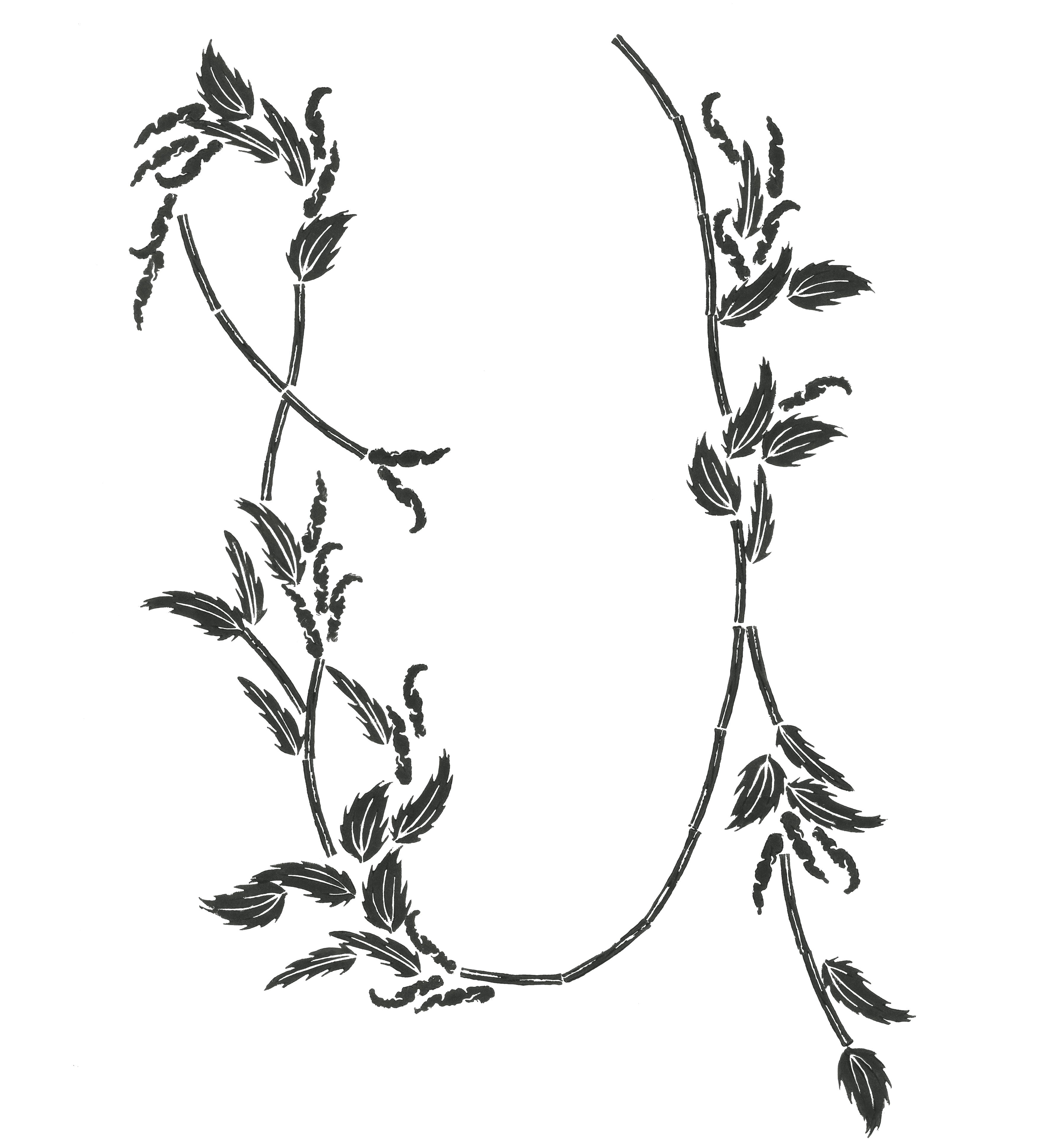 Typo Urtica, lettrine U