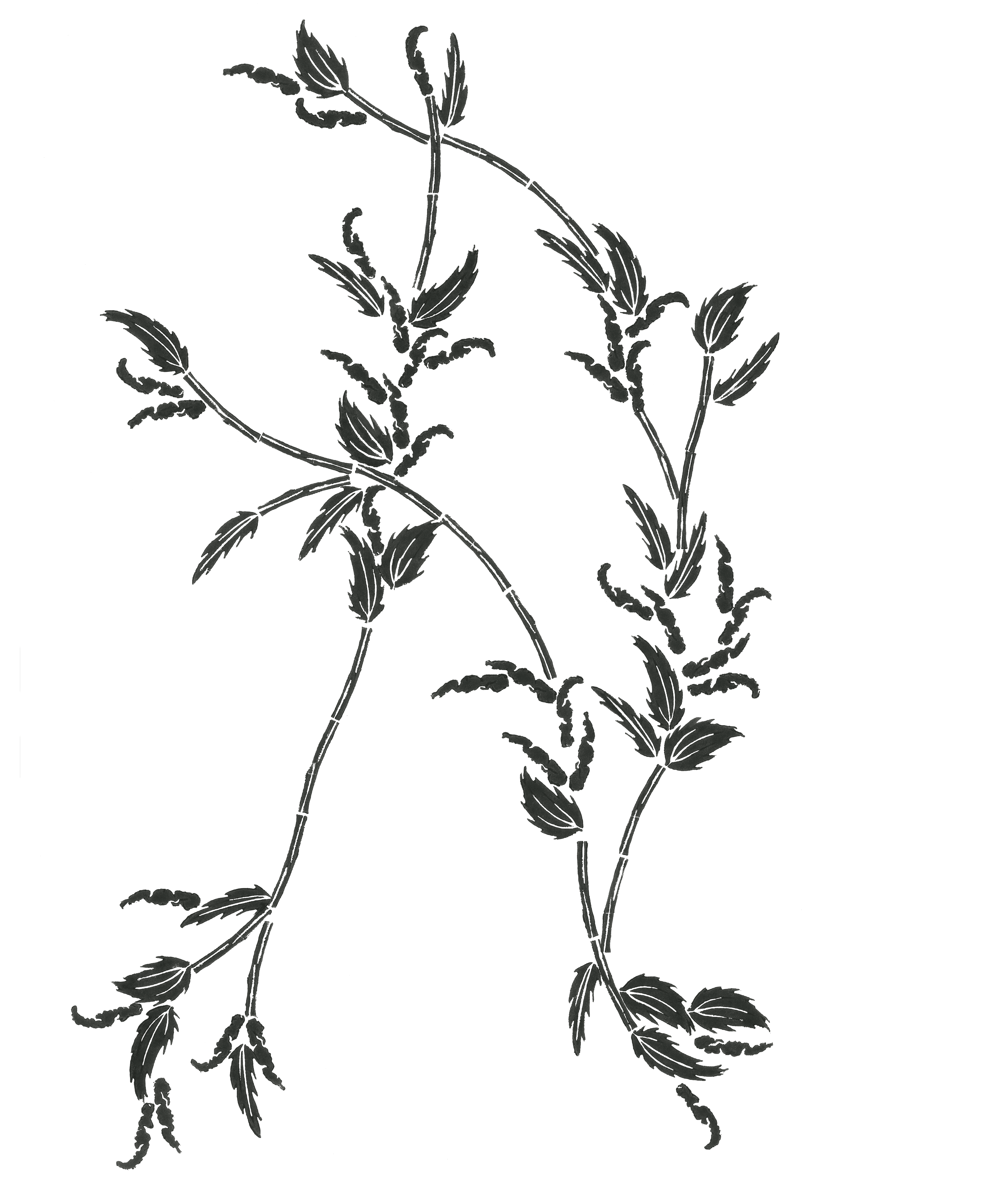 Typo Urtica, lettrine A