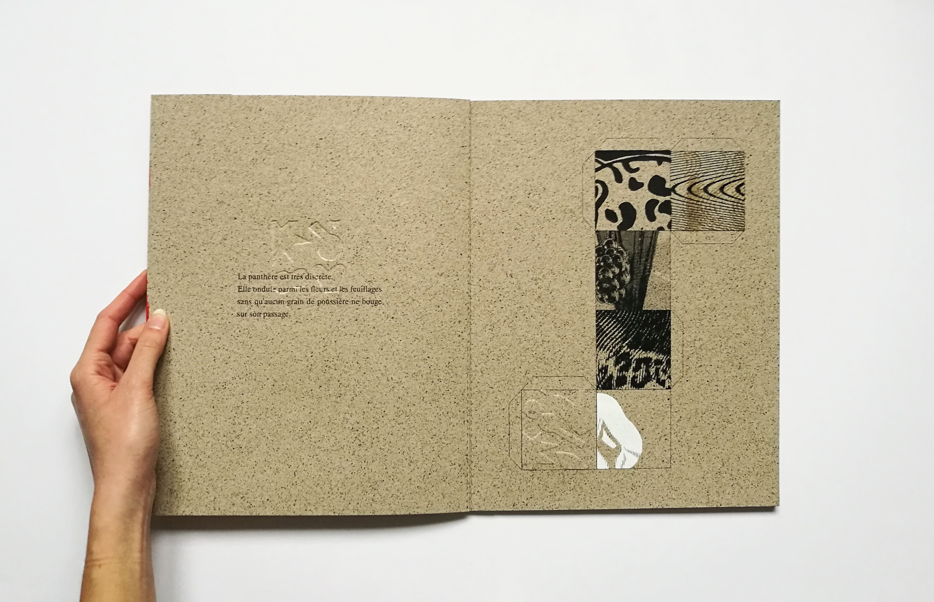 Panthère, livre ouvert, page patron de cube