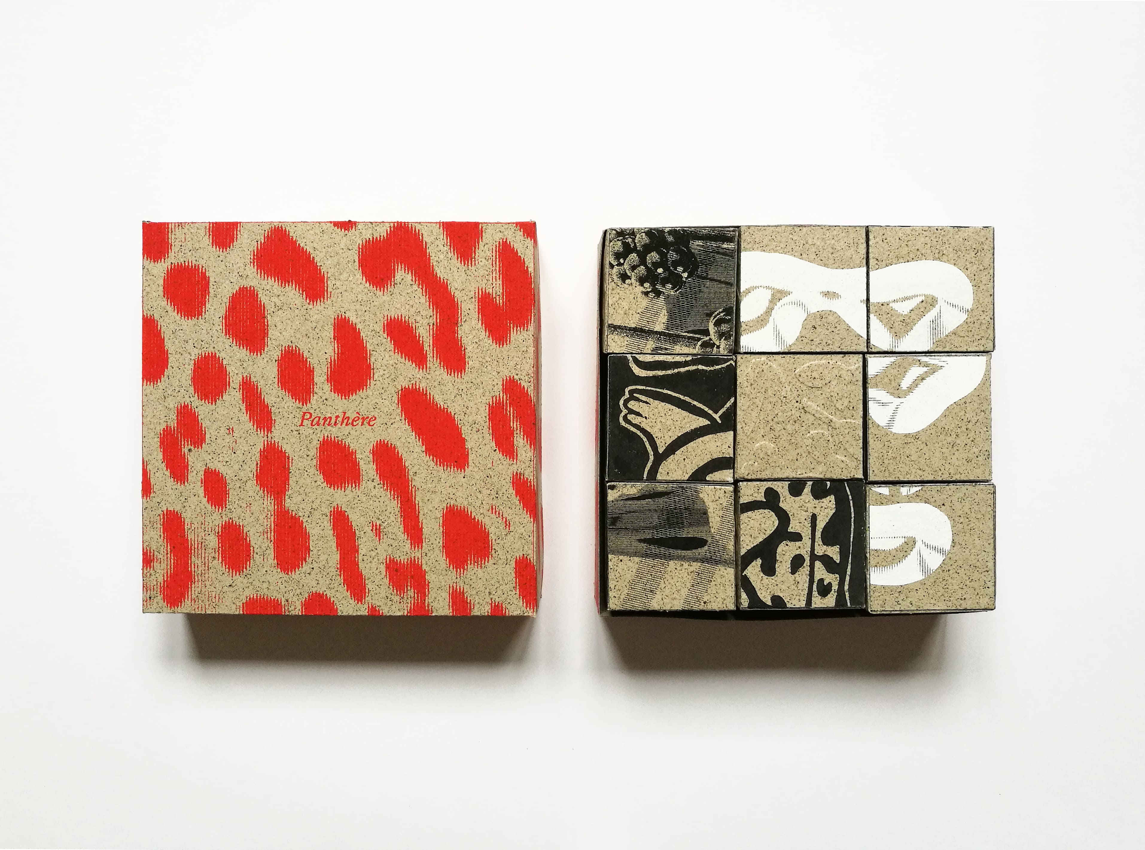 Panthère, boîte de jeu ouverte, puzzle cubes