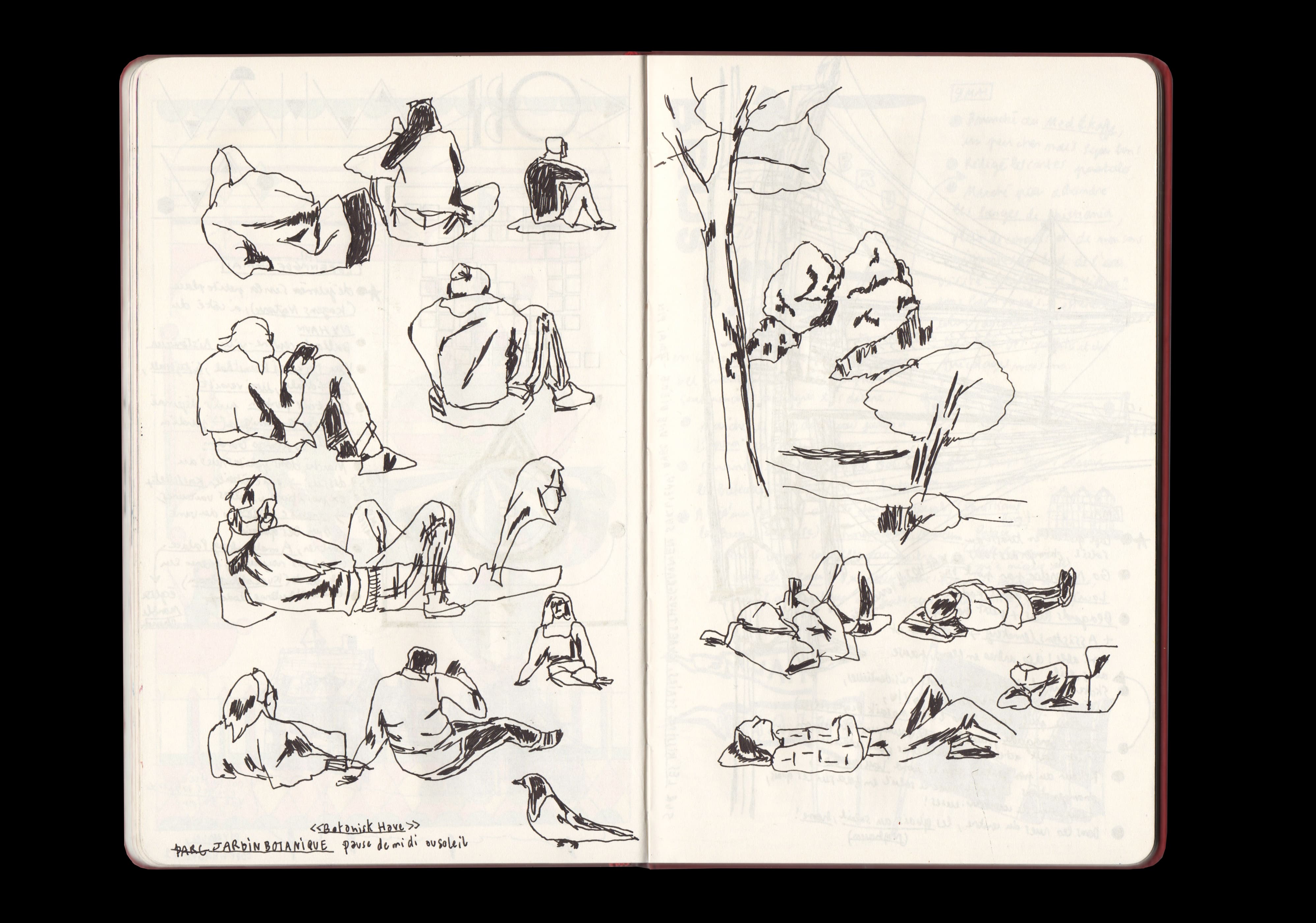 Carnet, dessin d'observation