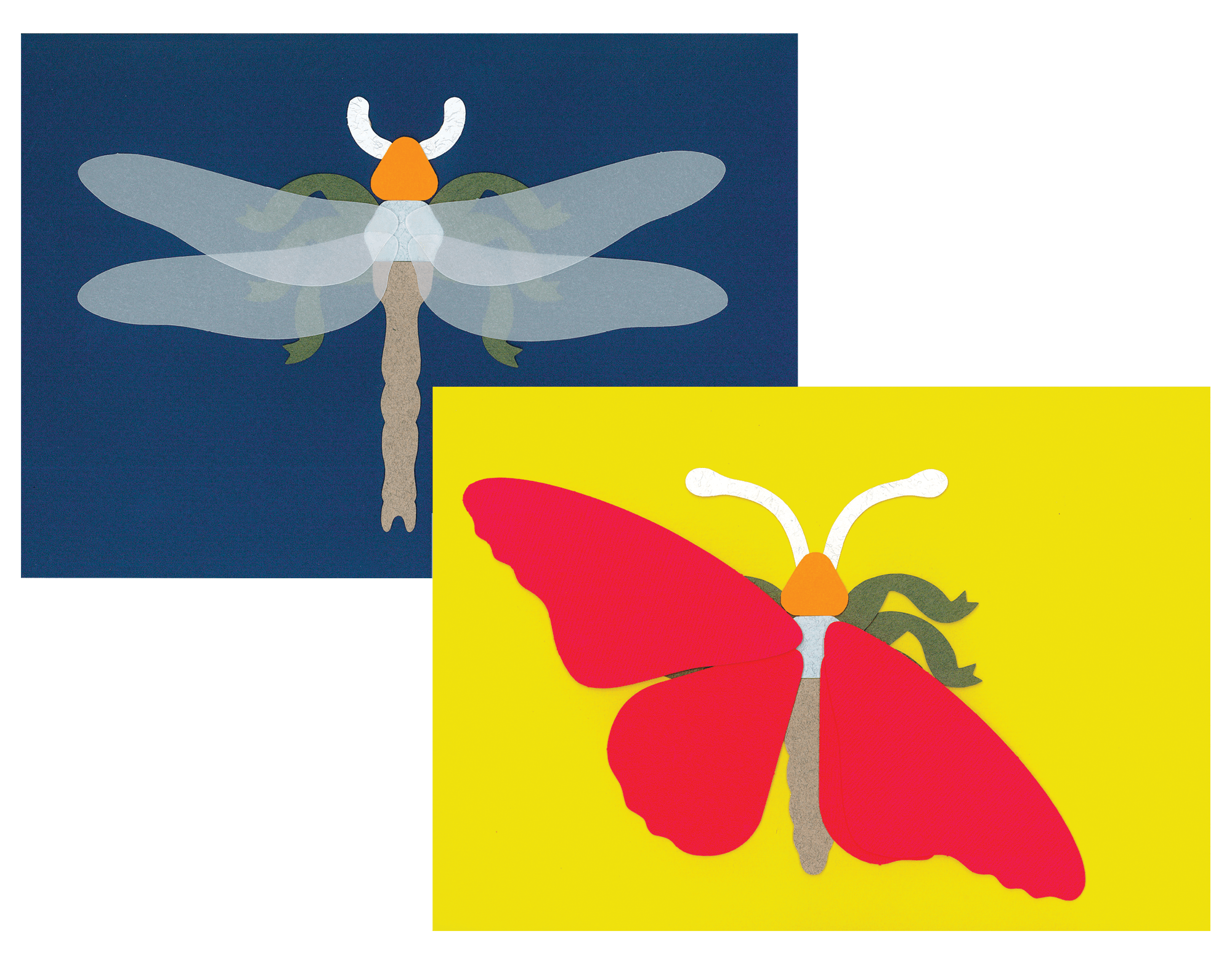 Outil insectes, collage insecte