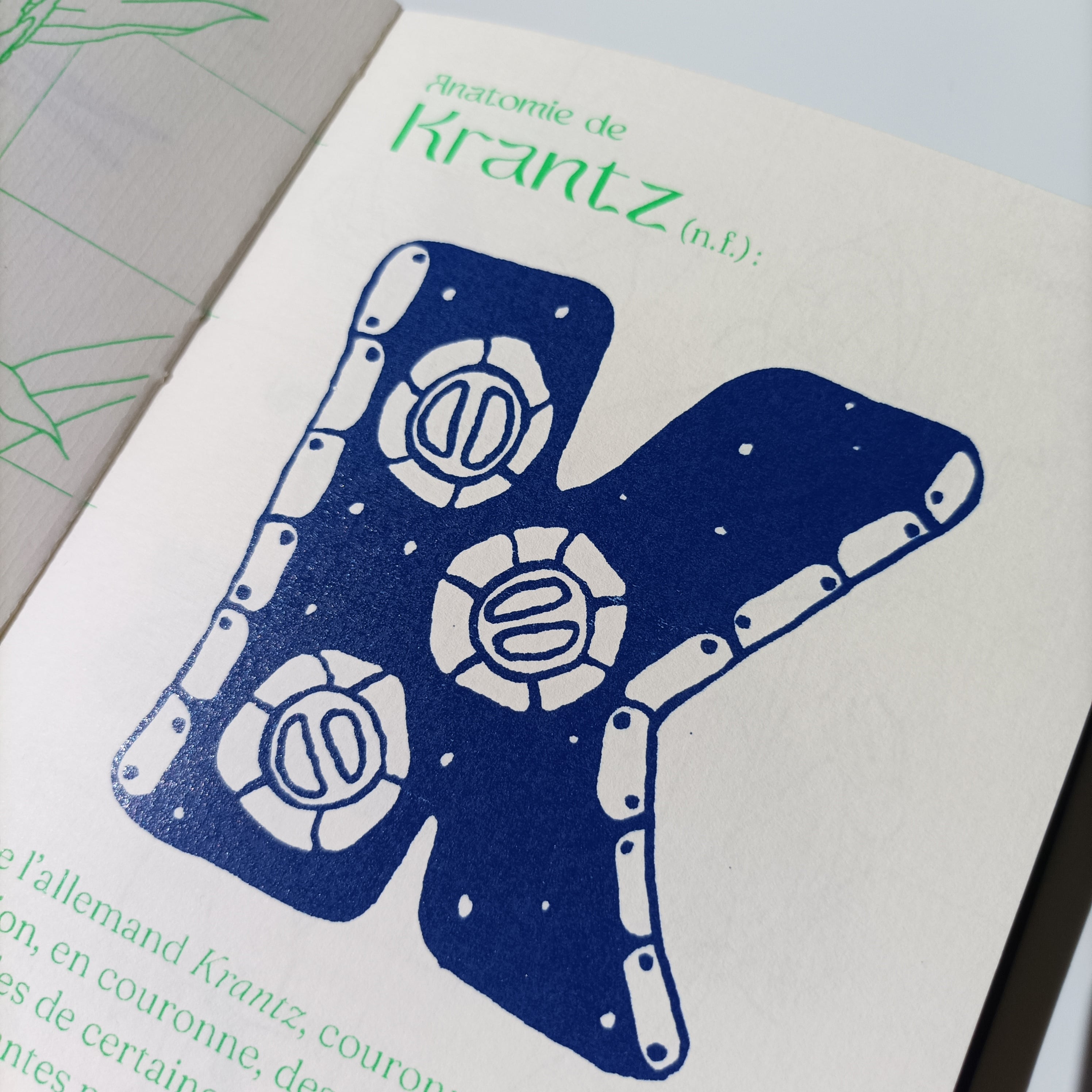 Petit Abécédaire de Botanique, page K