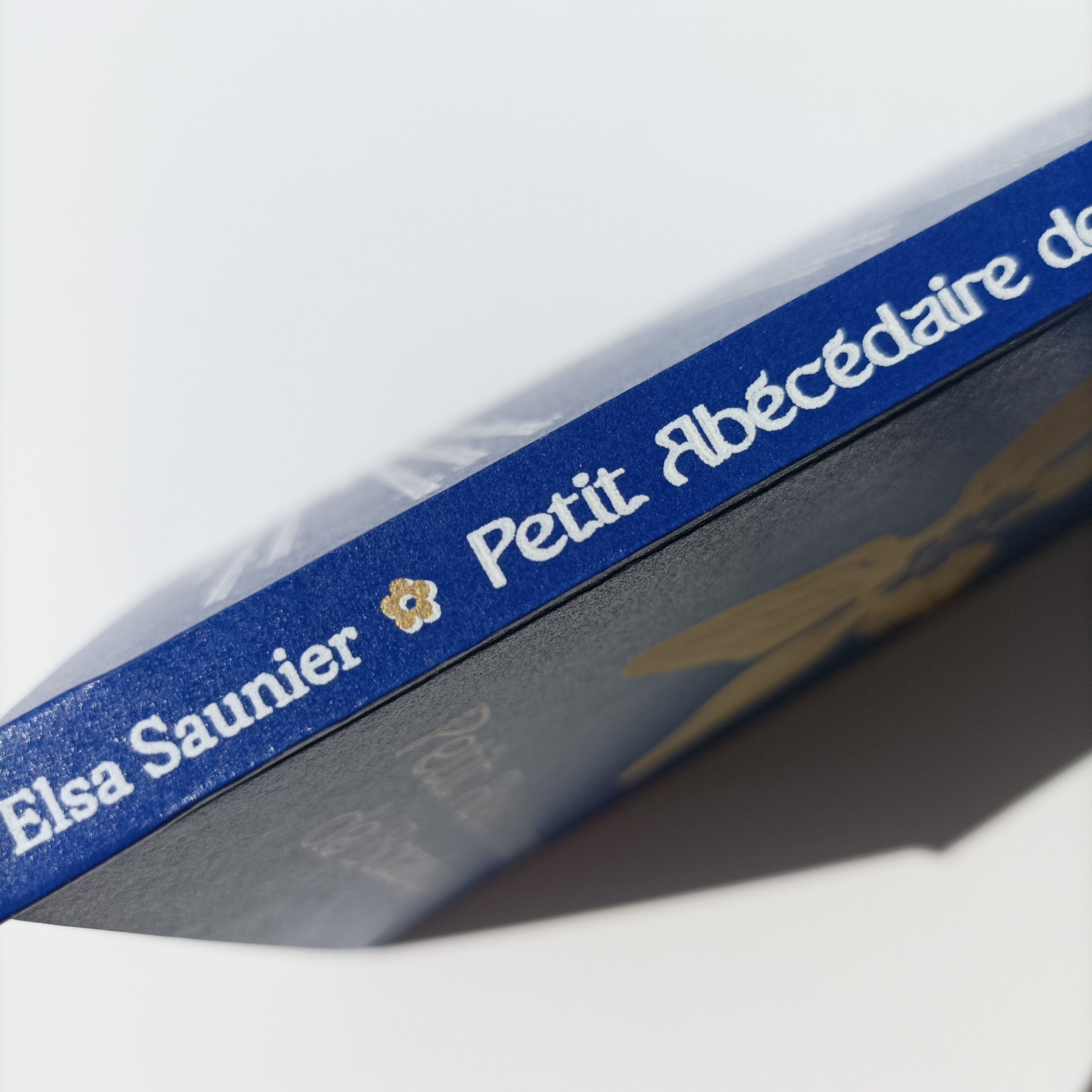 Petit Abécédaire de Botanique, zoom tranche