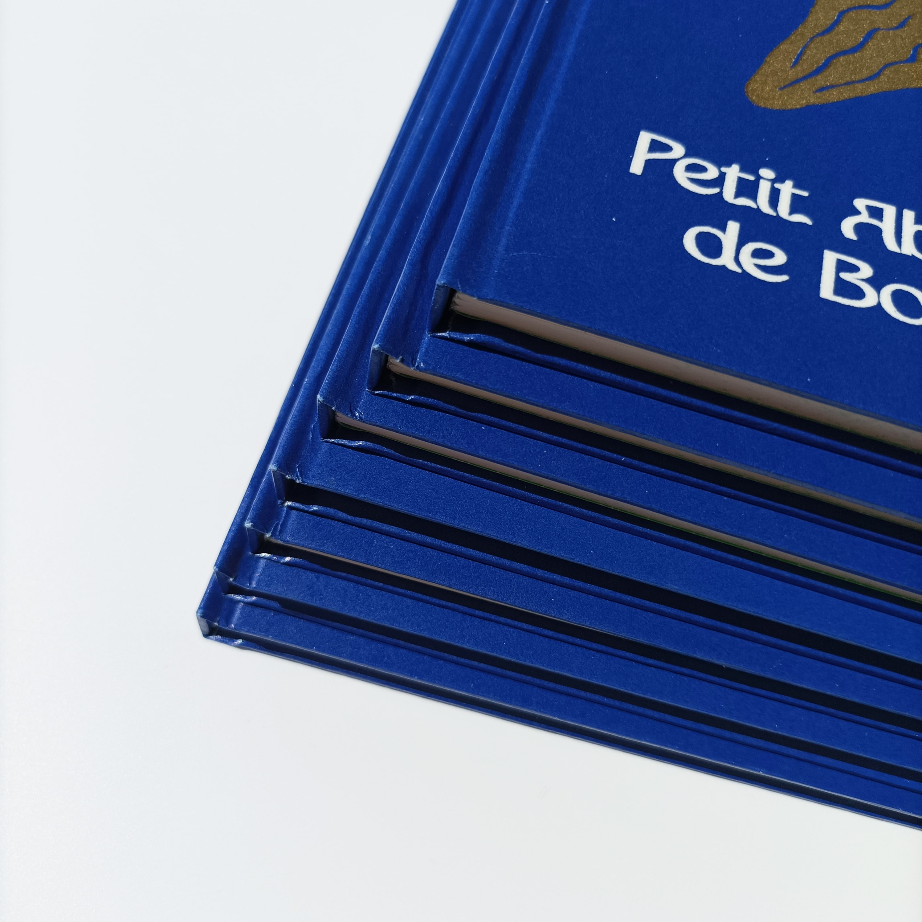 Petit Abécédaire de Botanique, zoom reliure extérieur