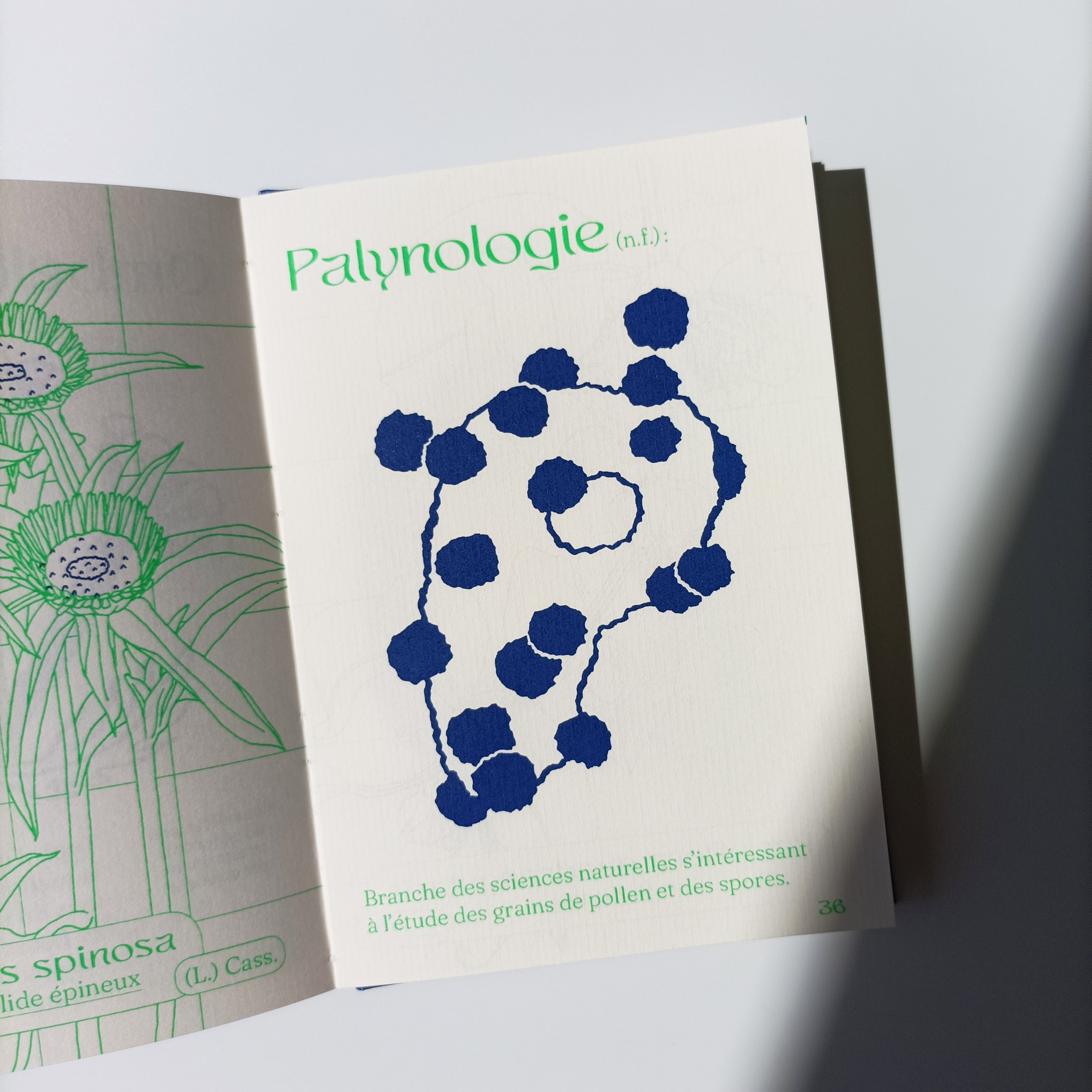 Petit Abécédaire de Botanique, page P