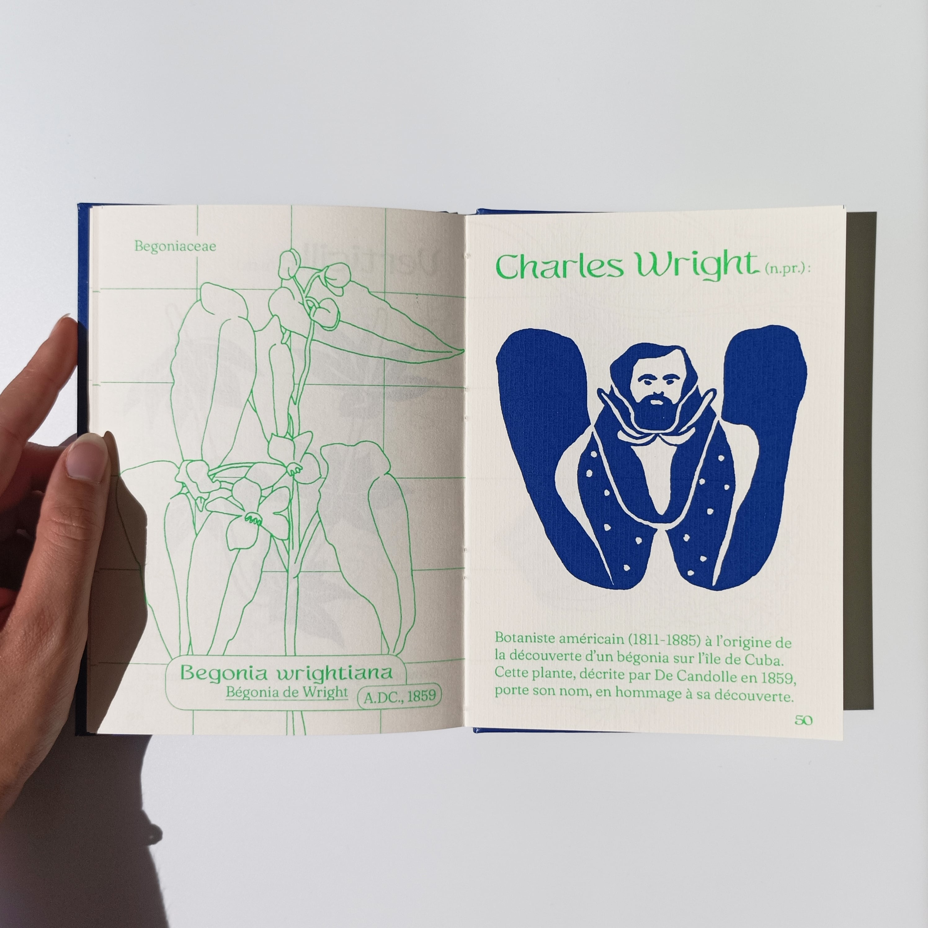 Petit Abécédaire de Botanique, page W