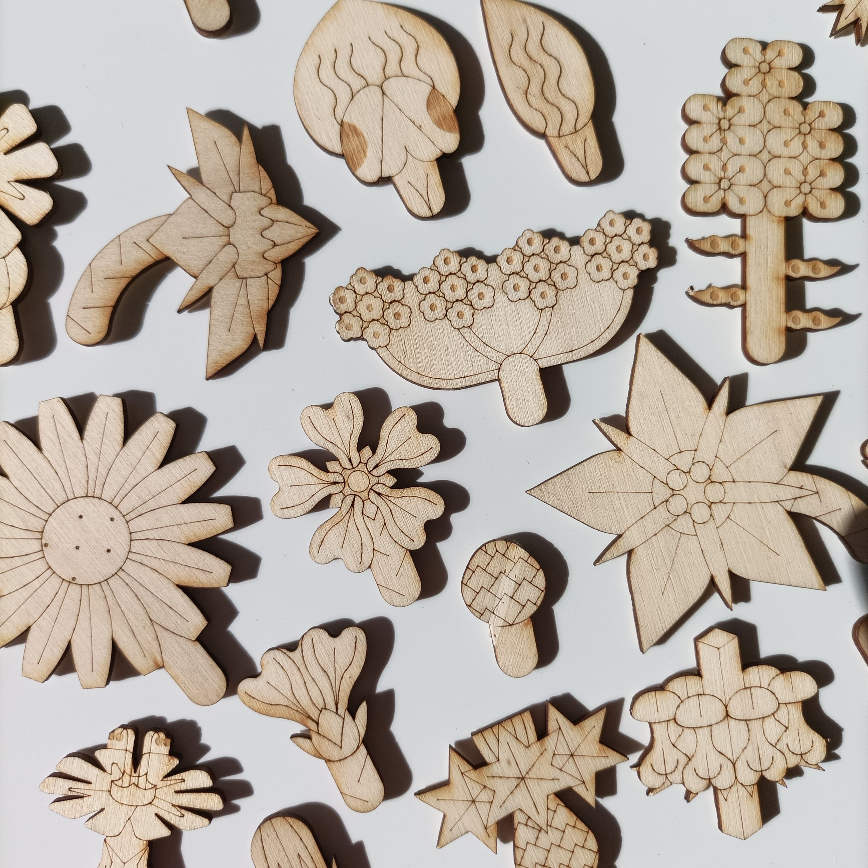 L'Organographe, pièces fleurs