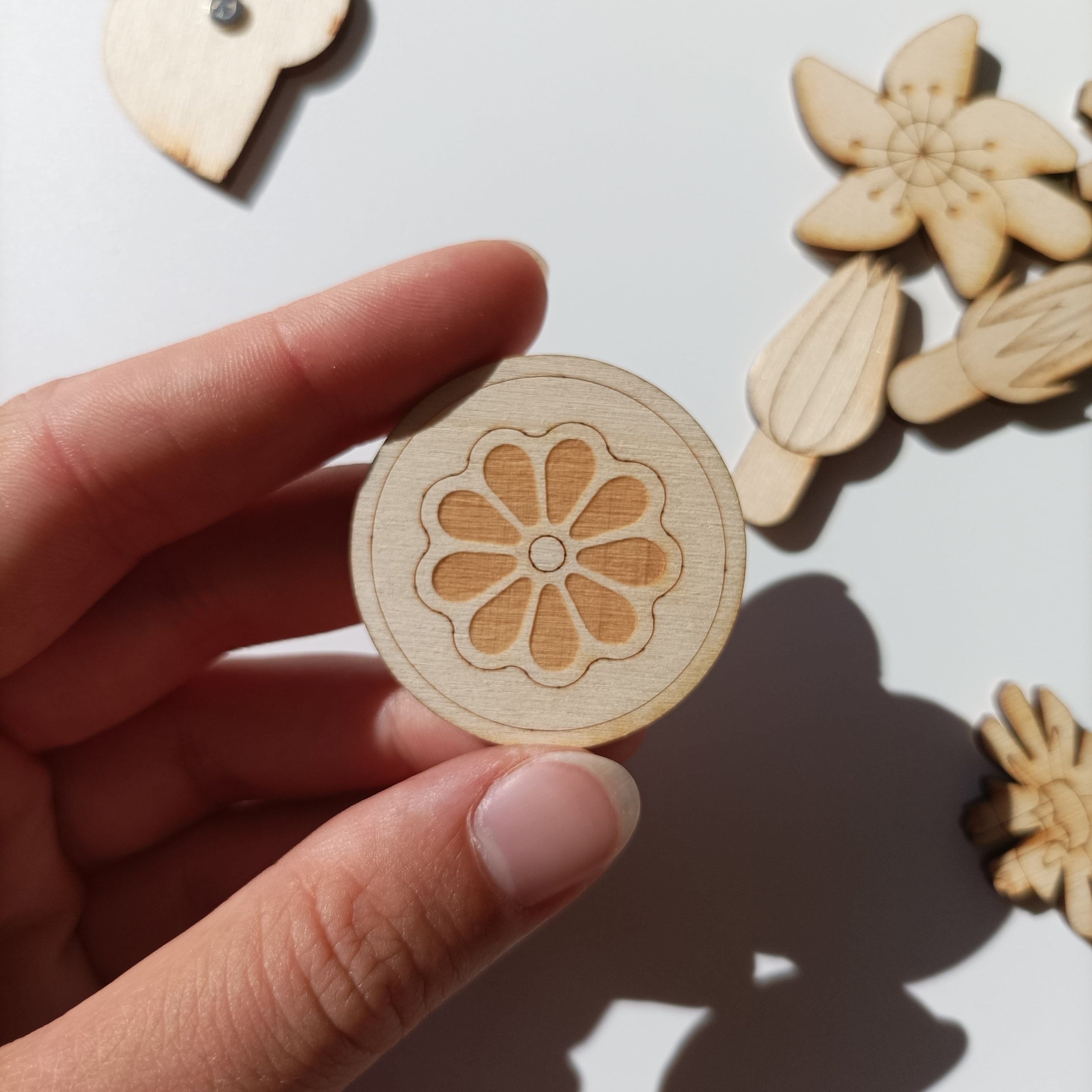 L'Organographe, détail pièce fruit