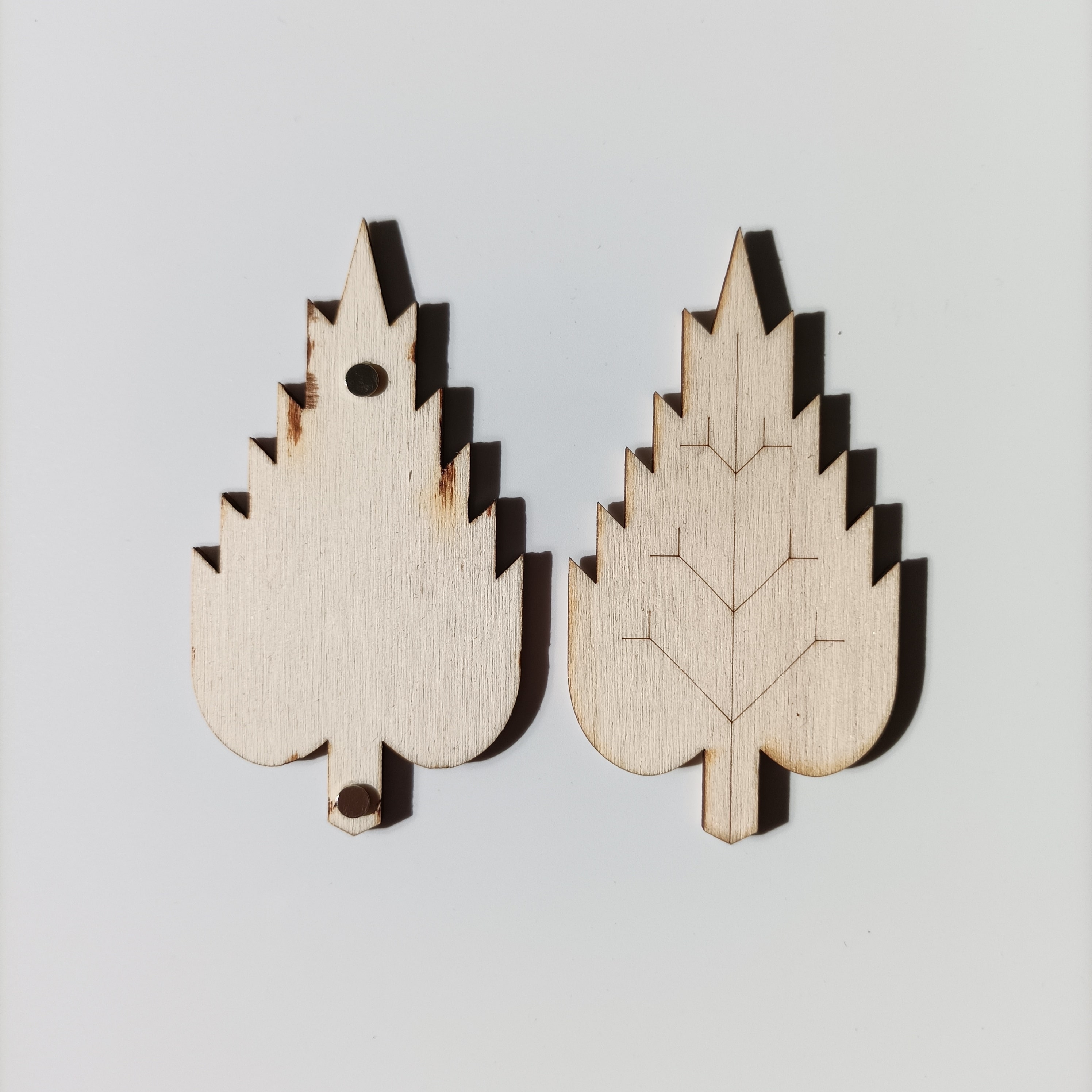 L'Organographe, détail pièce feuilles