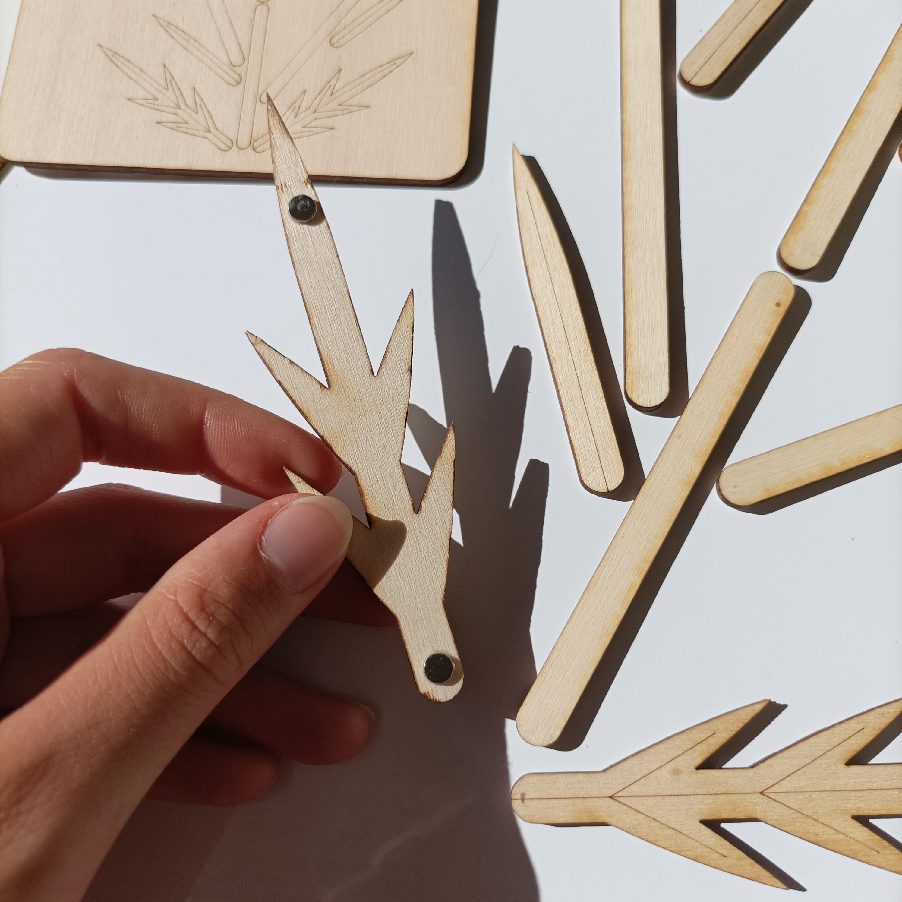 L'Organographe, situation de jeu