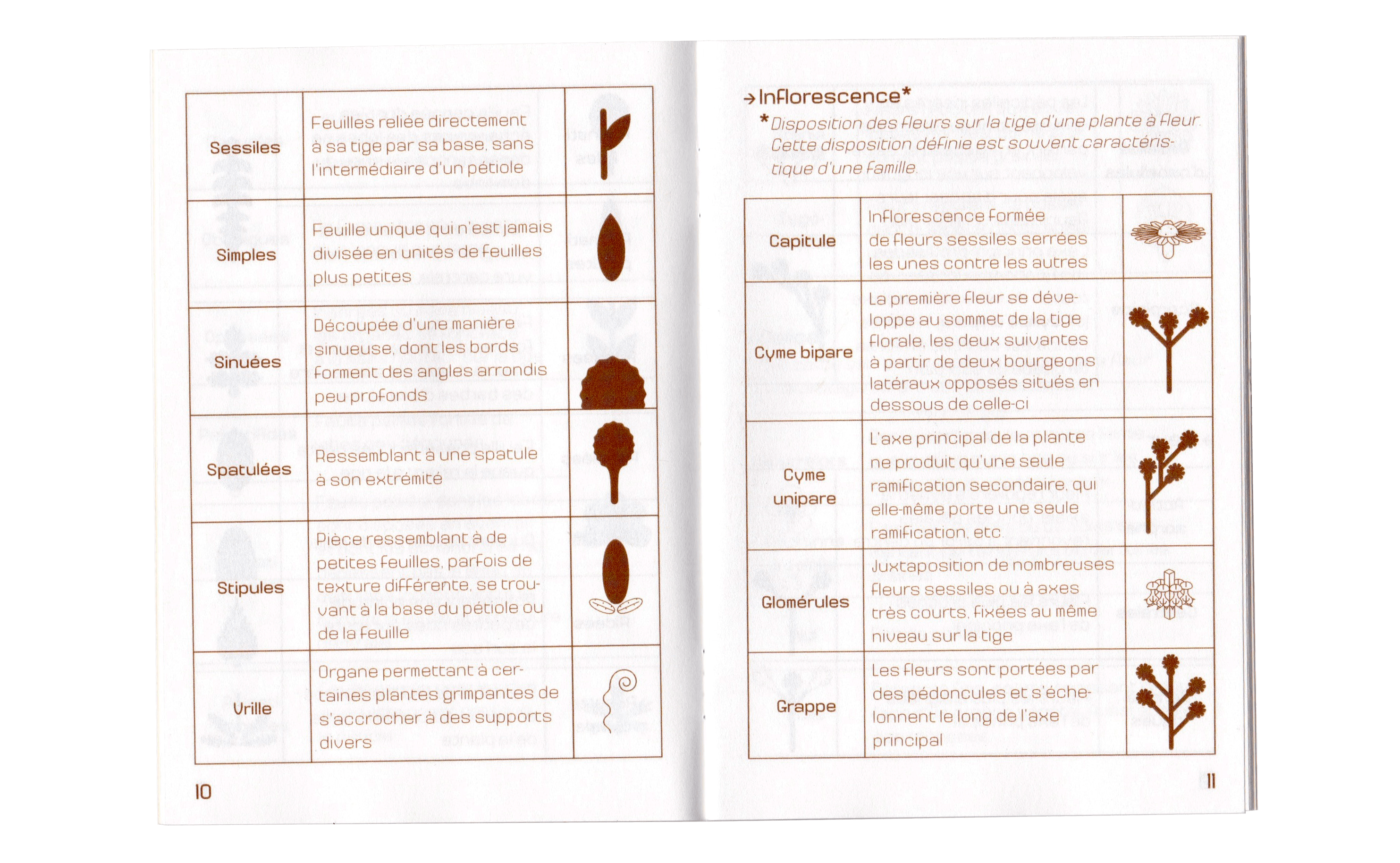 L'Organographe, livrets