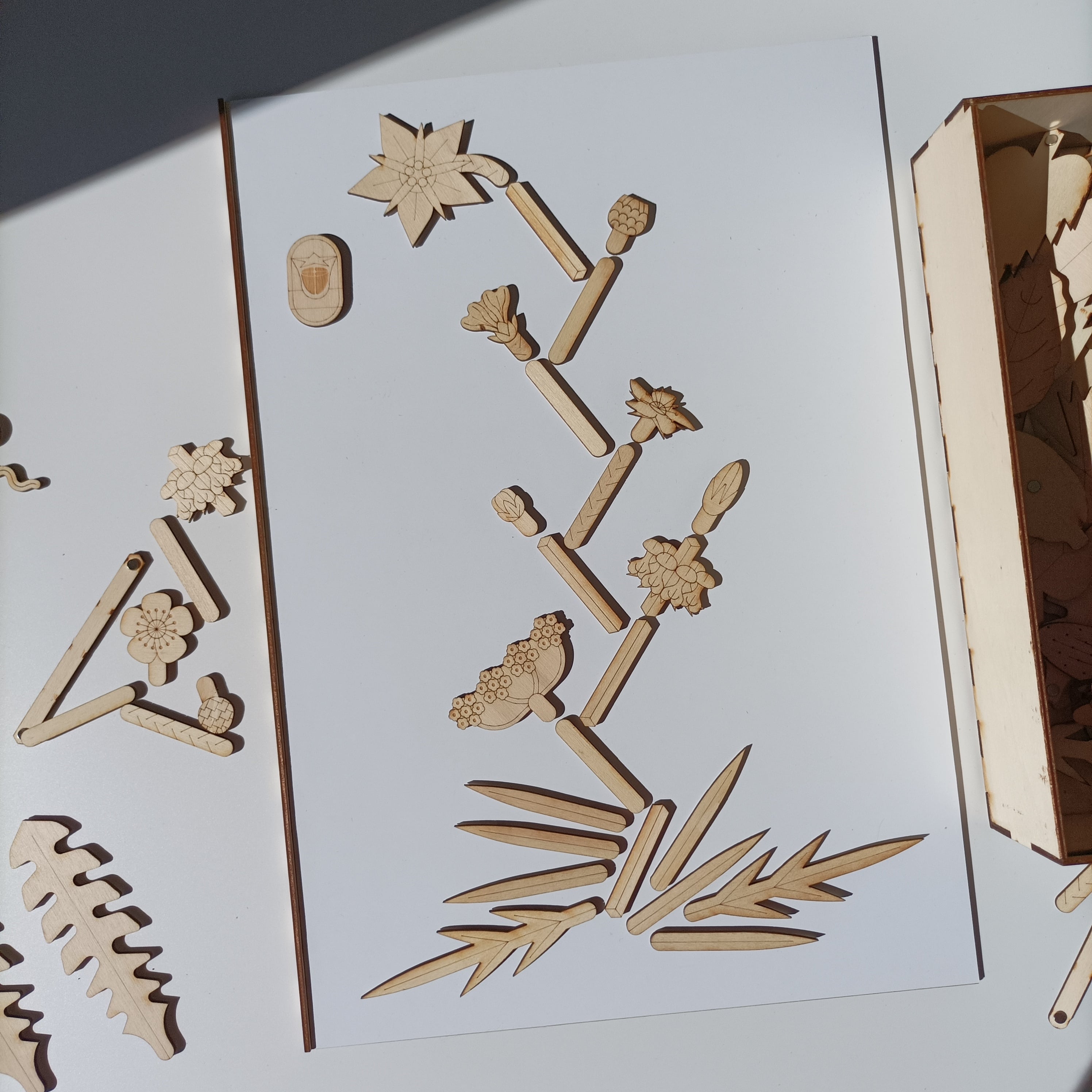 L'Organographe, situation de jeu