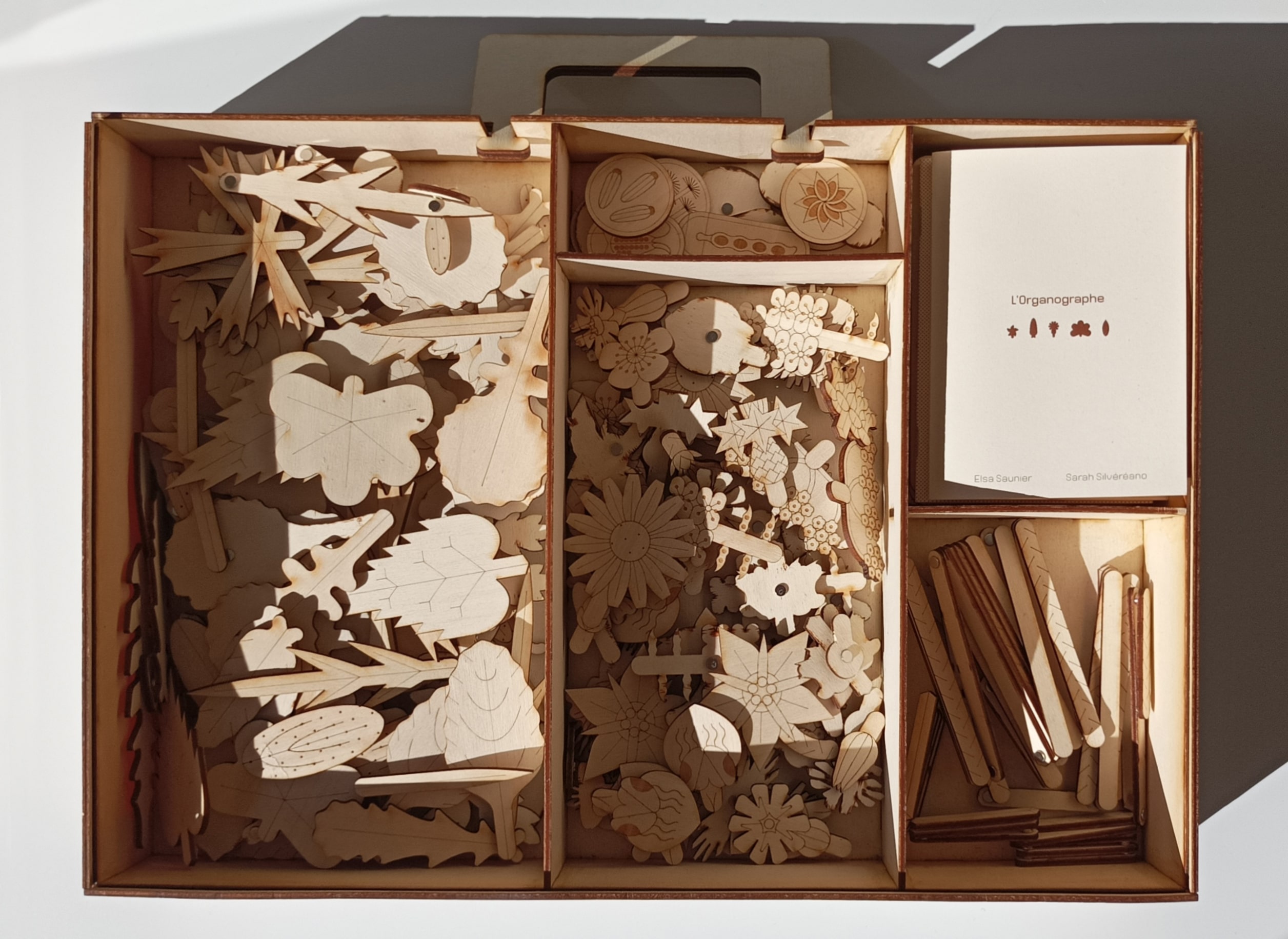 L'Organographe, boîte ouverte