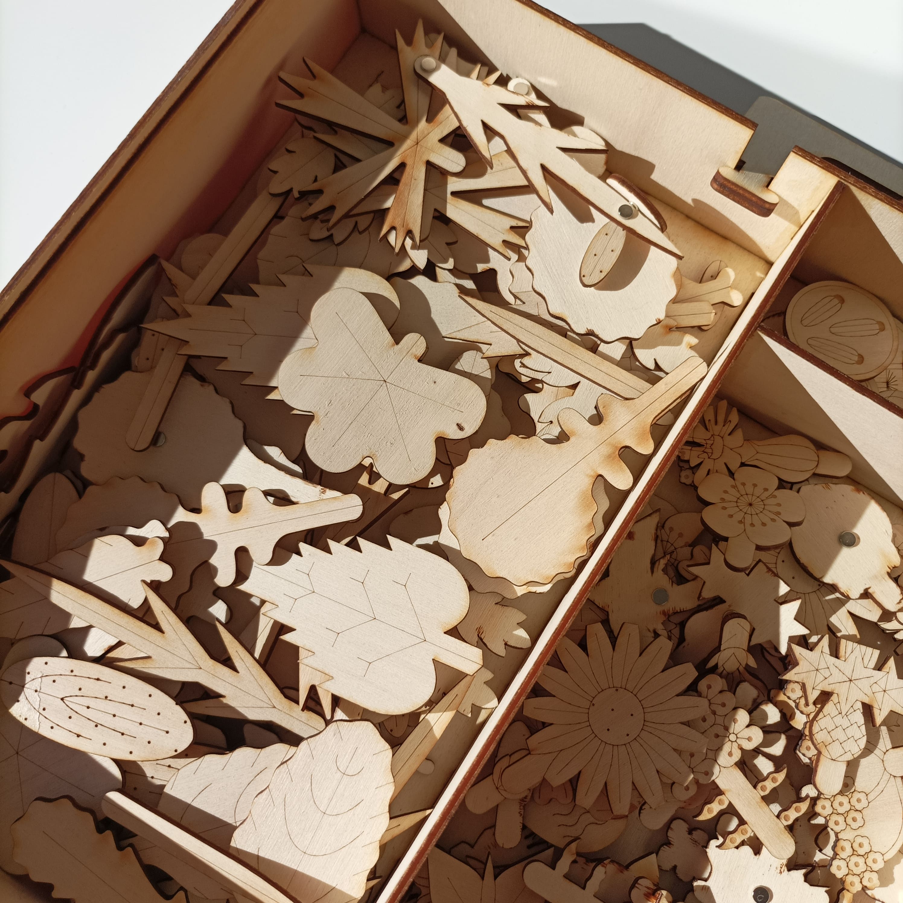 L'Organographe, boîte ouverte