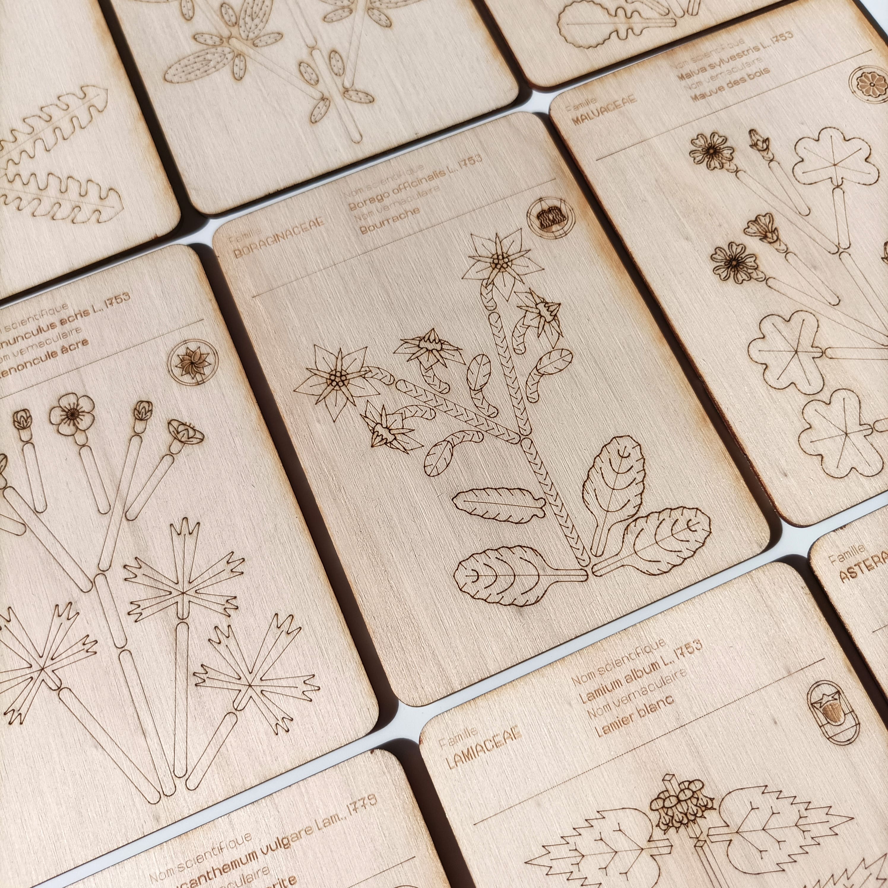 L'Organographe, plaquettes