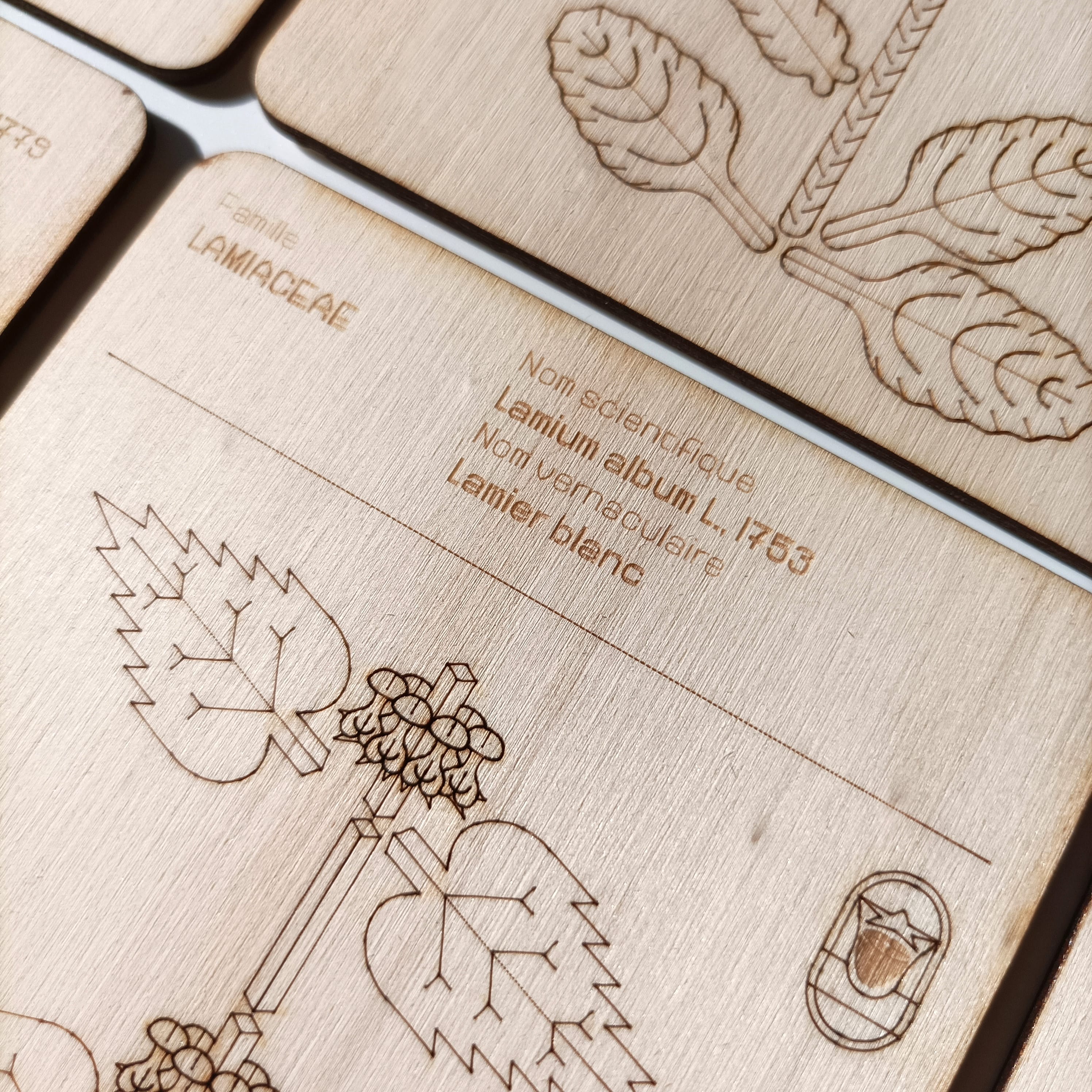 L'Organographe, zoom plaquettes