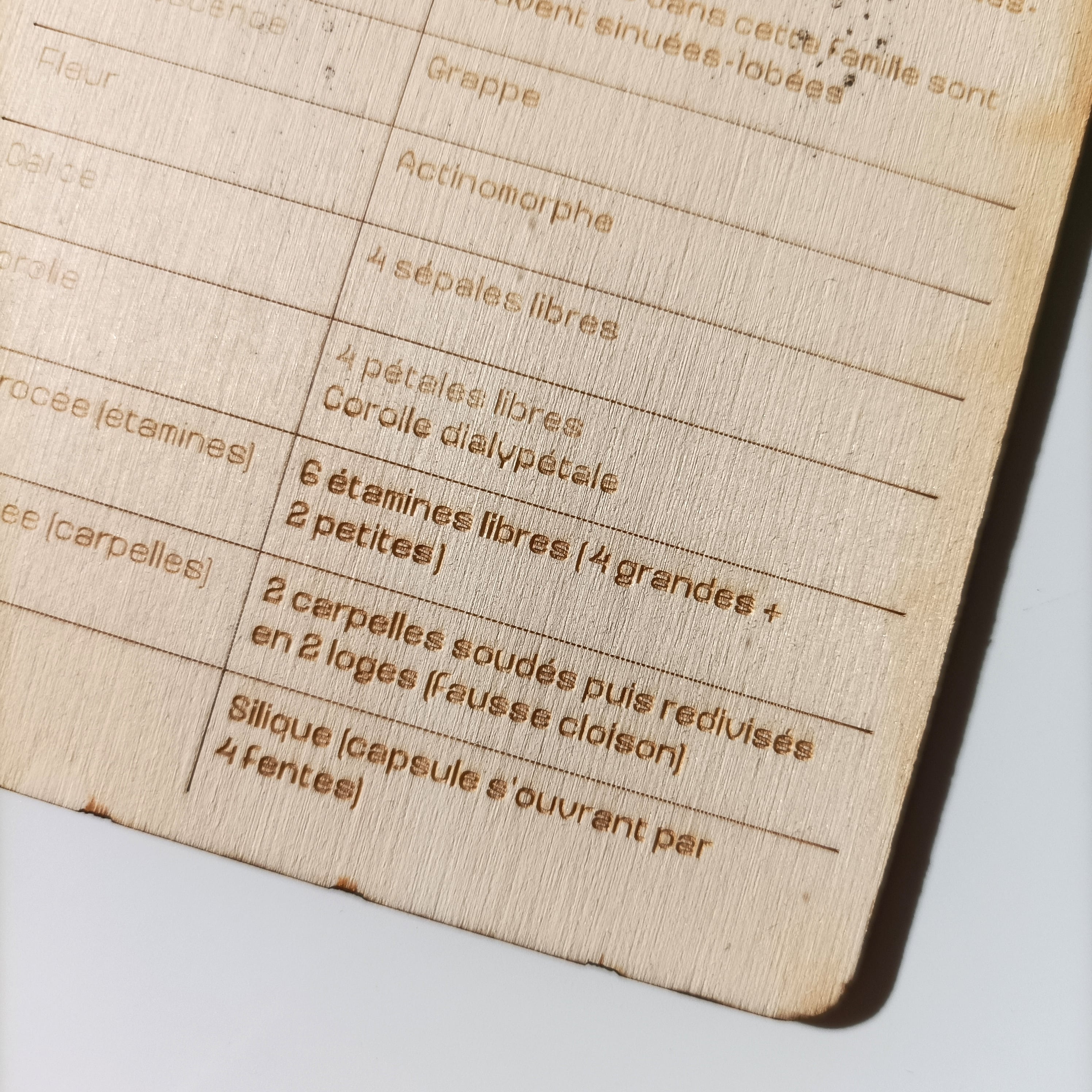 L'Organographe, zoom plaquettes