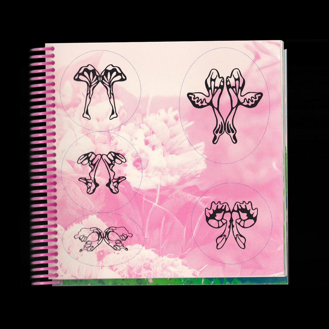 Typo Lepidoptera, spécimen