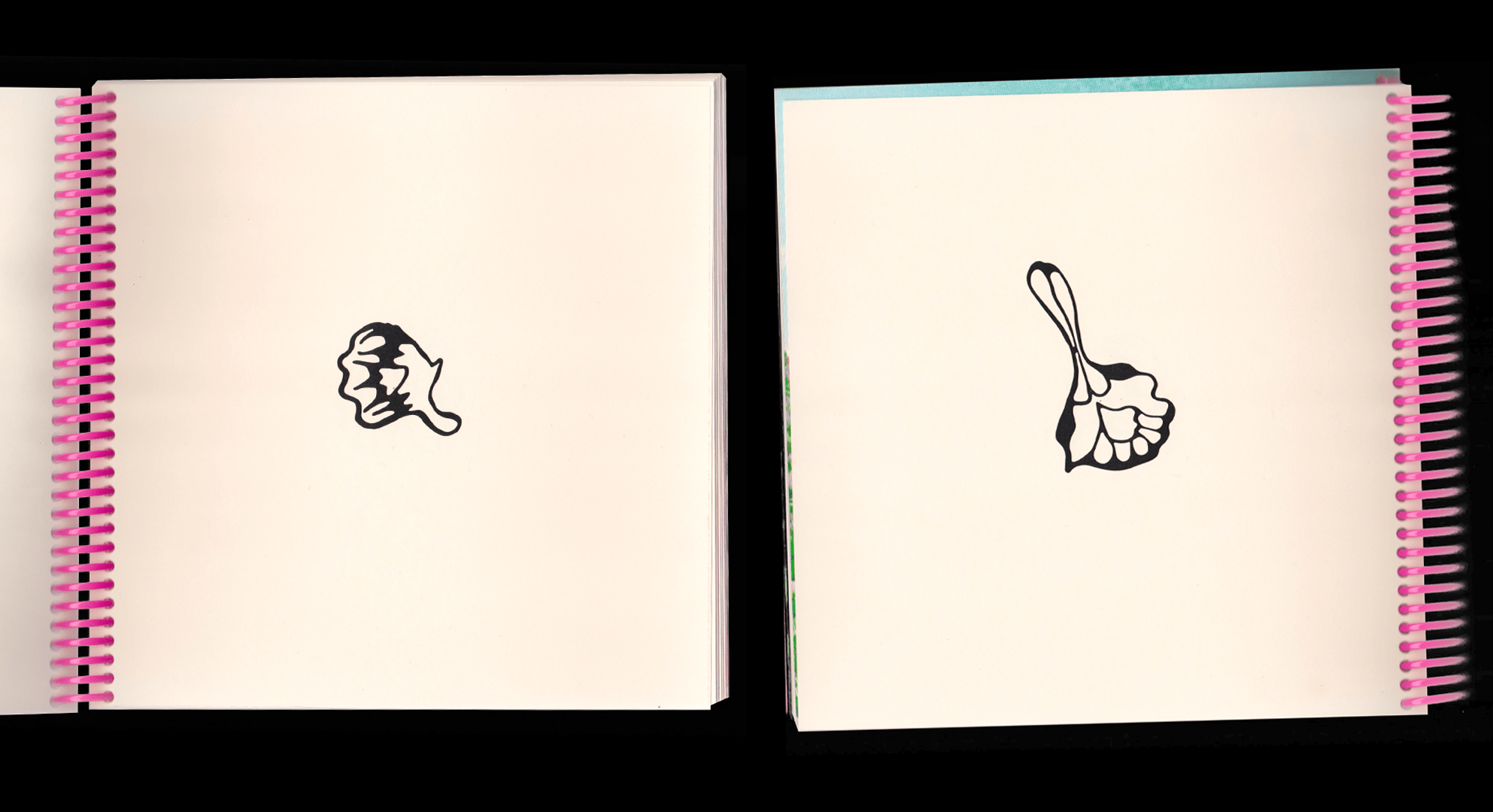 Typo Lepidoptera, spécimen