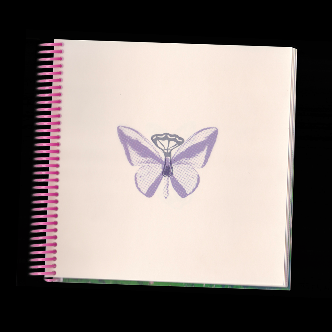 Typo Lepidoptera, spécimen