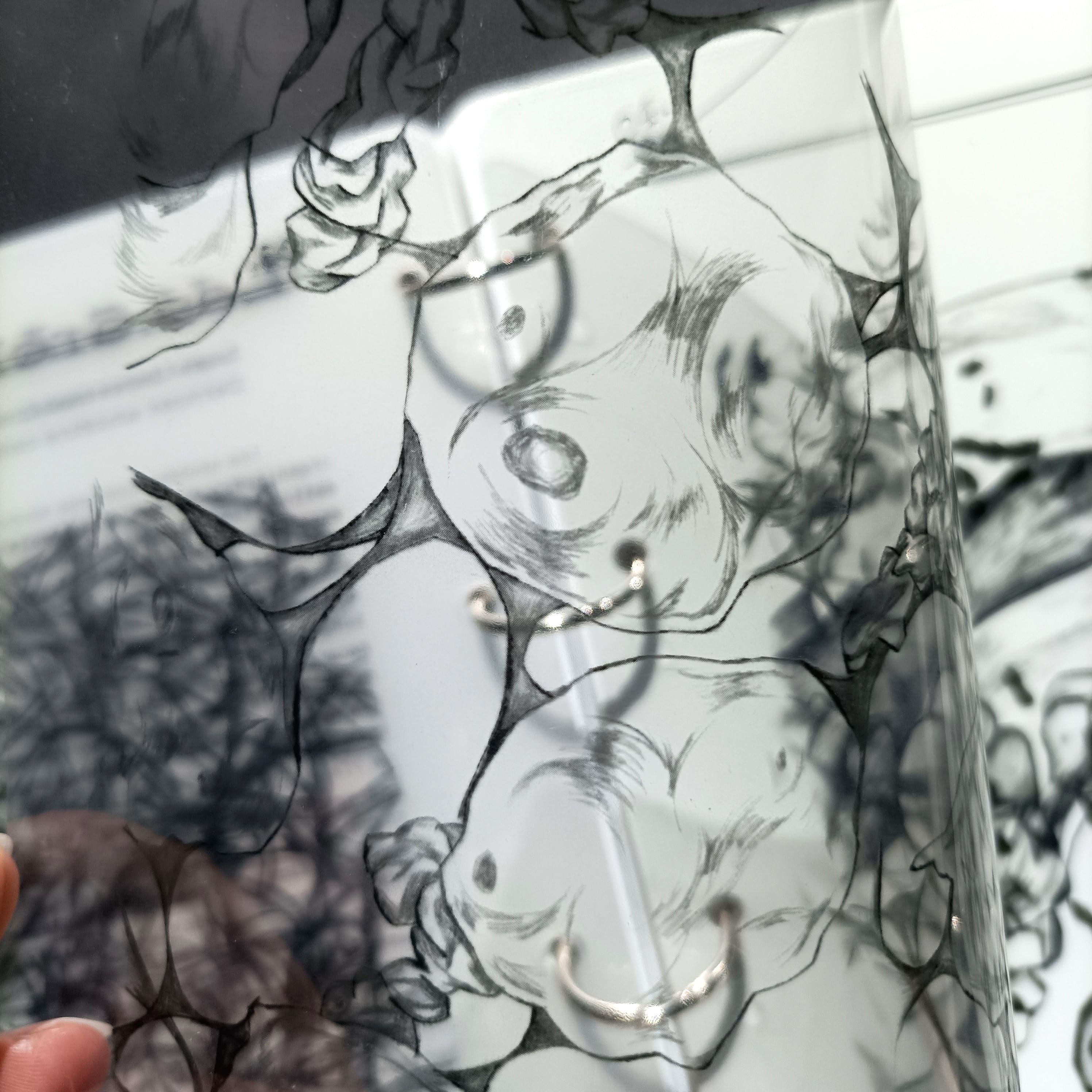 Le petit monde, zoom illustration