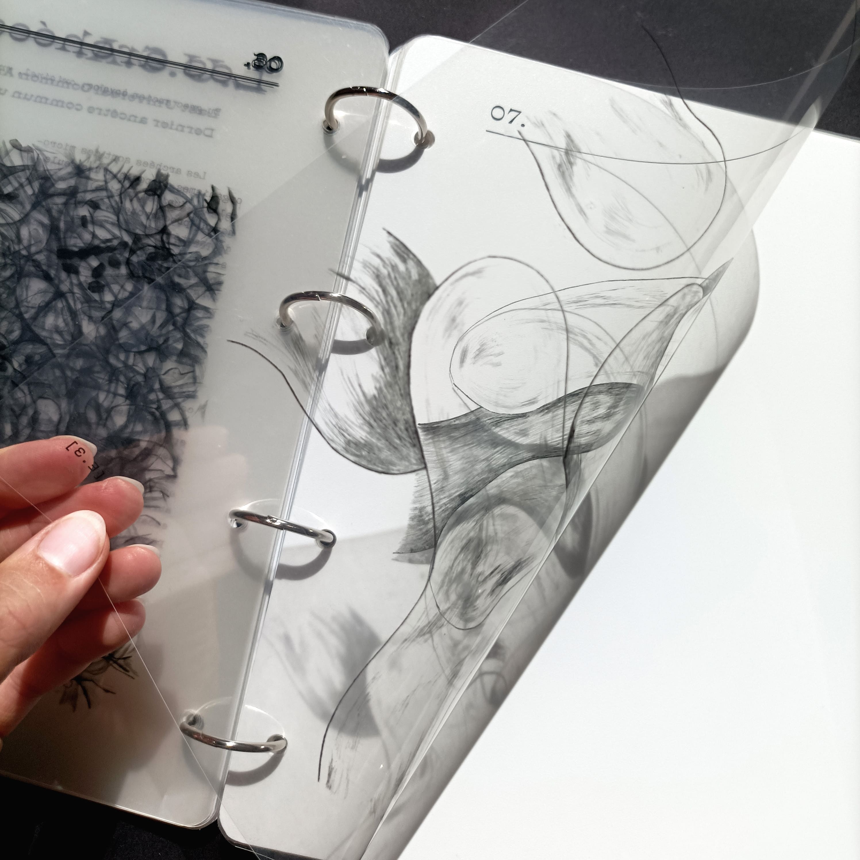 Le petit monde, zoom illustration