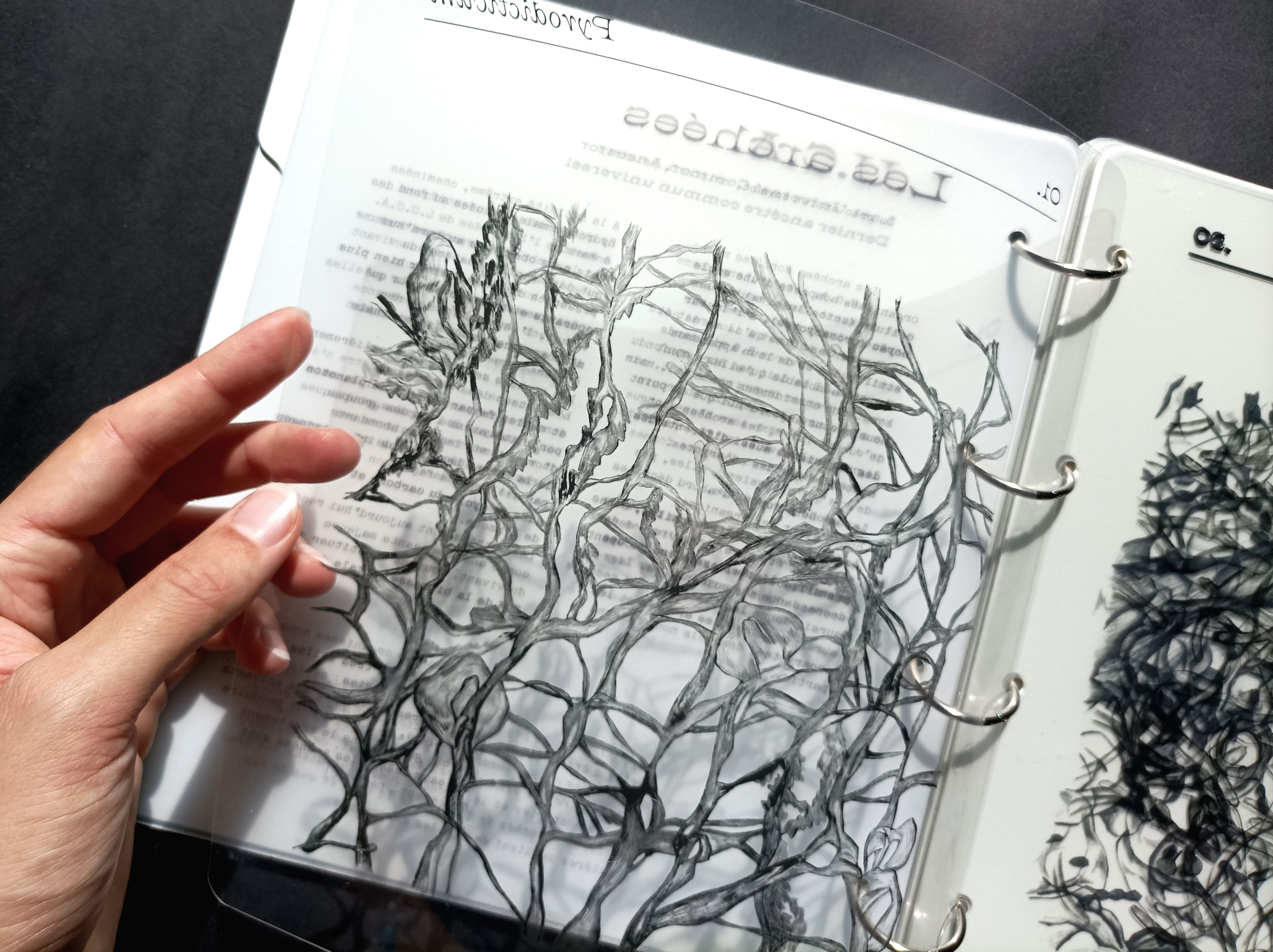 Le petit monde, zoom illustration