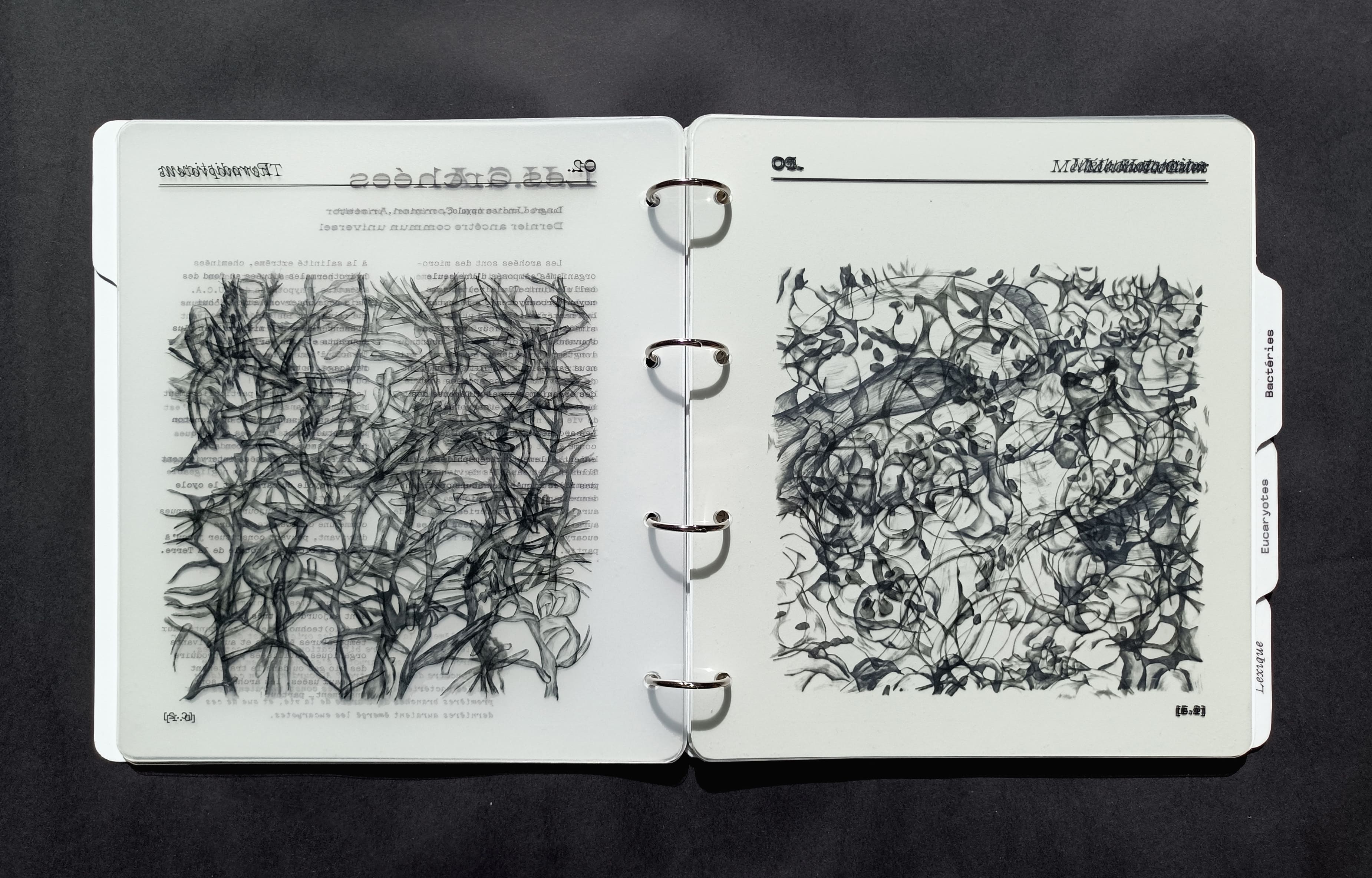 Le petit monde, double page