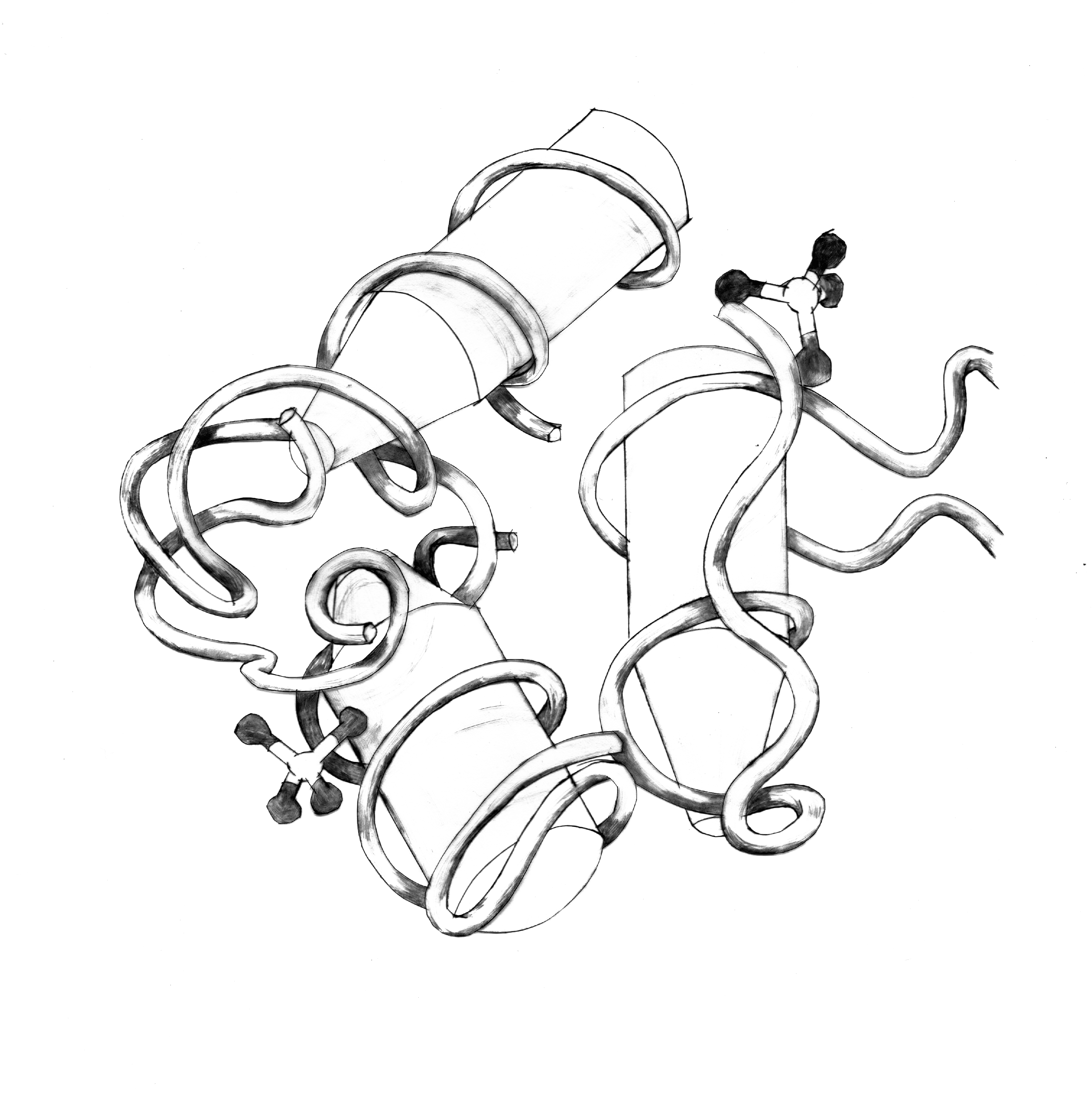 Le petit monde, illustration de micro-organisme