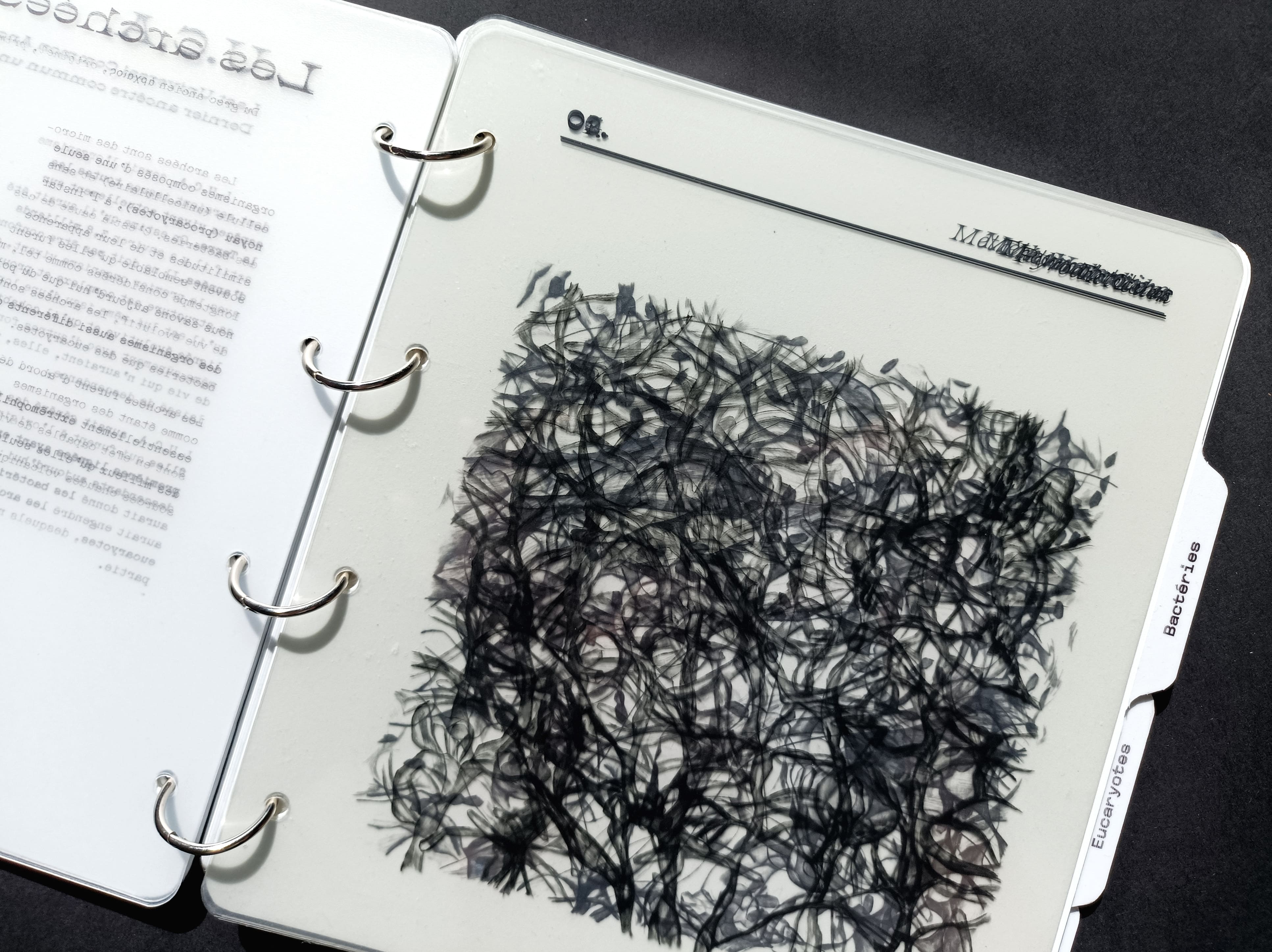 Le petit monde, superposition pages intérieures