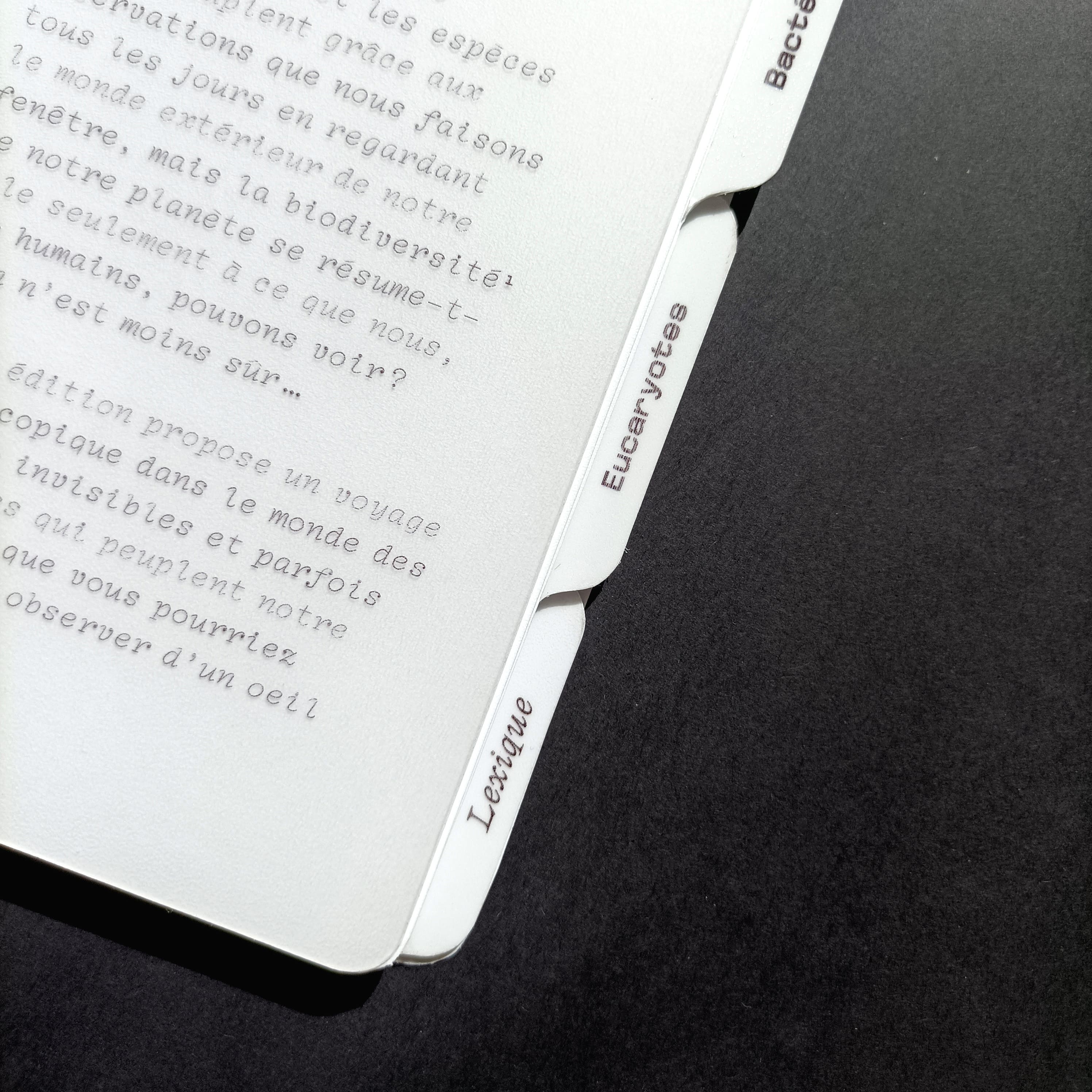 Le petit monde, onglets