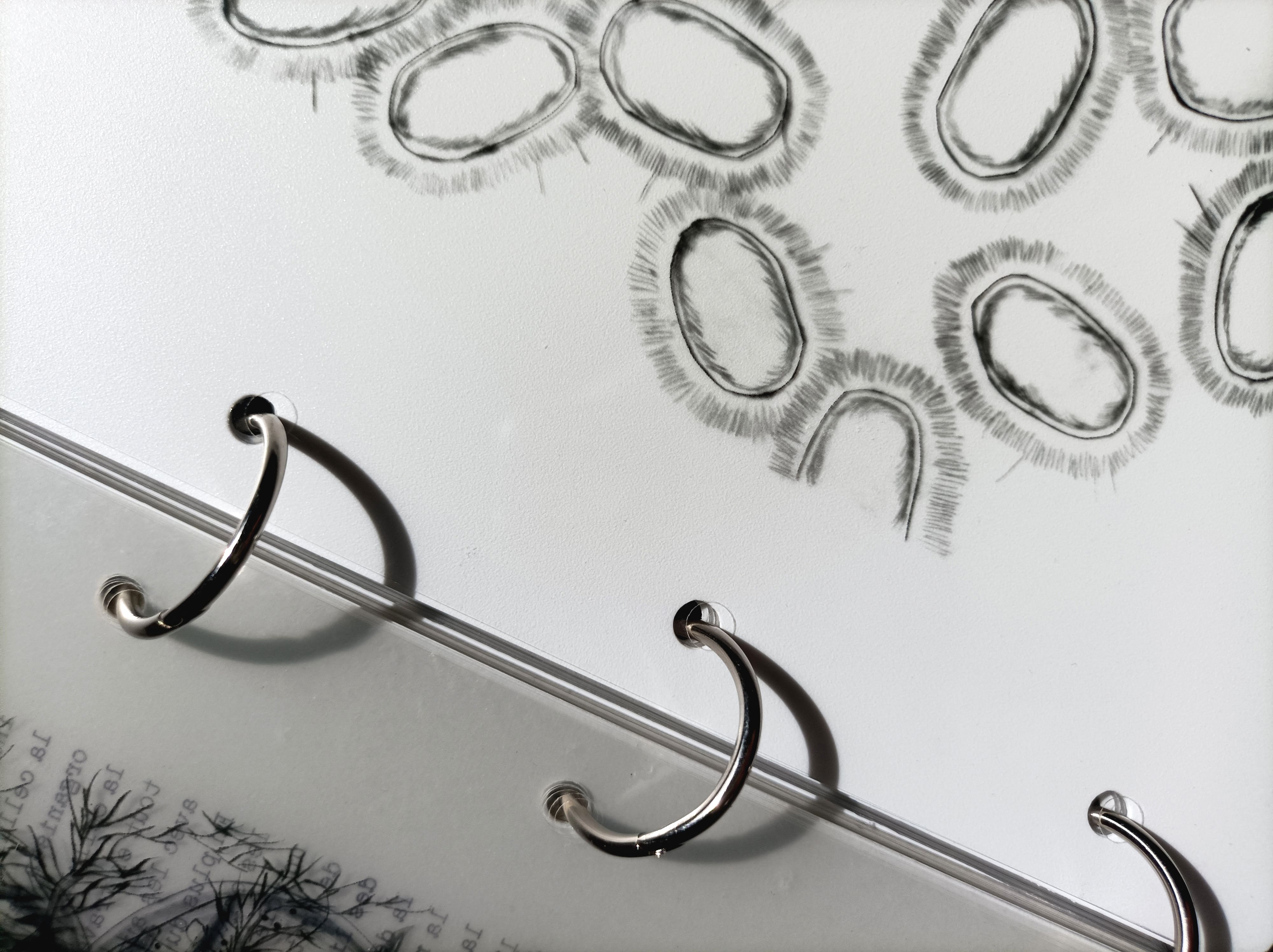 Le petit monde, zoom reliure