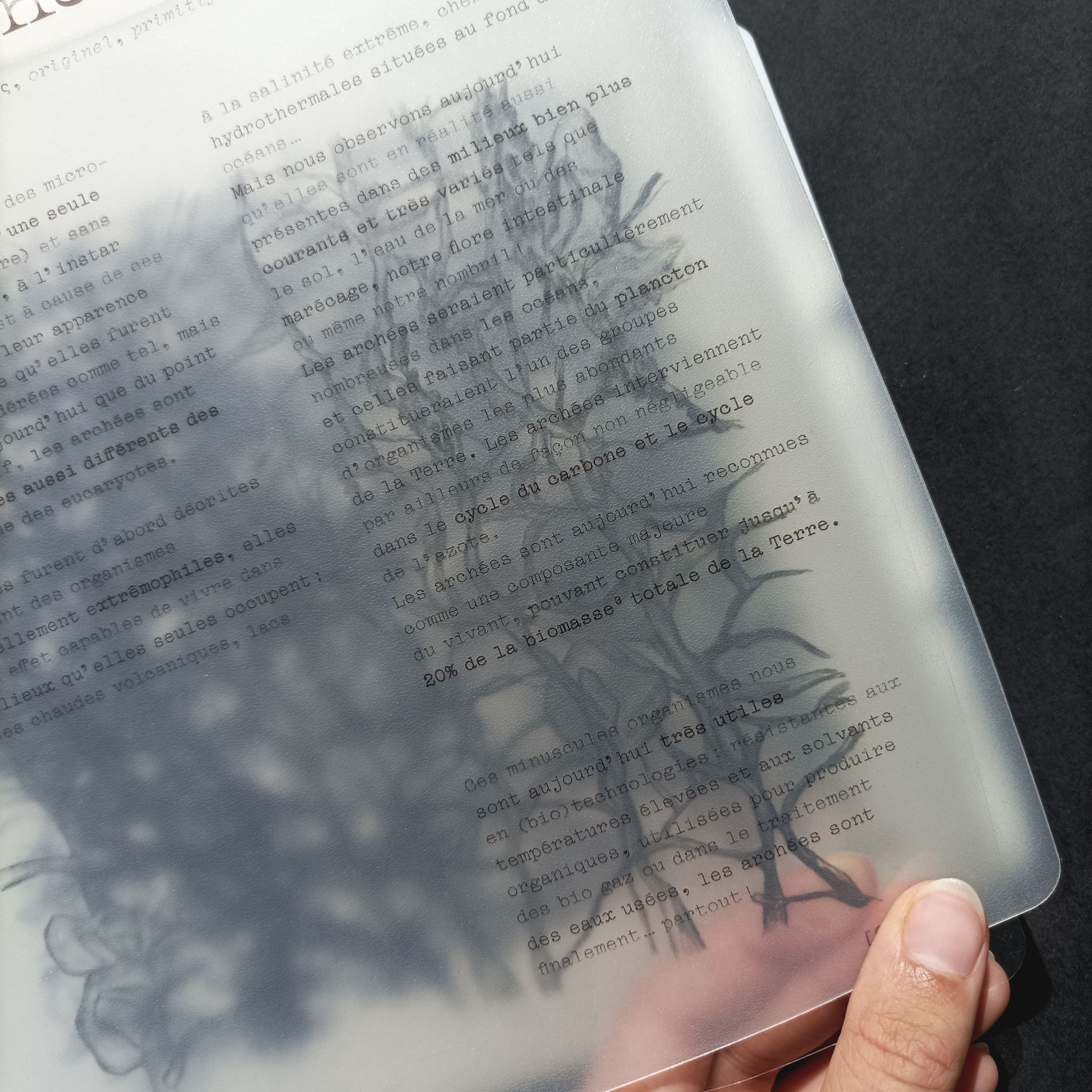 Le petit monde, page texte semi-opaque 