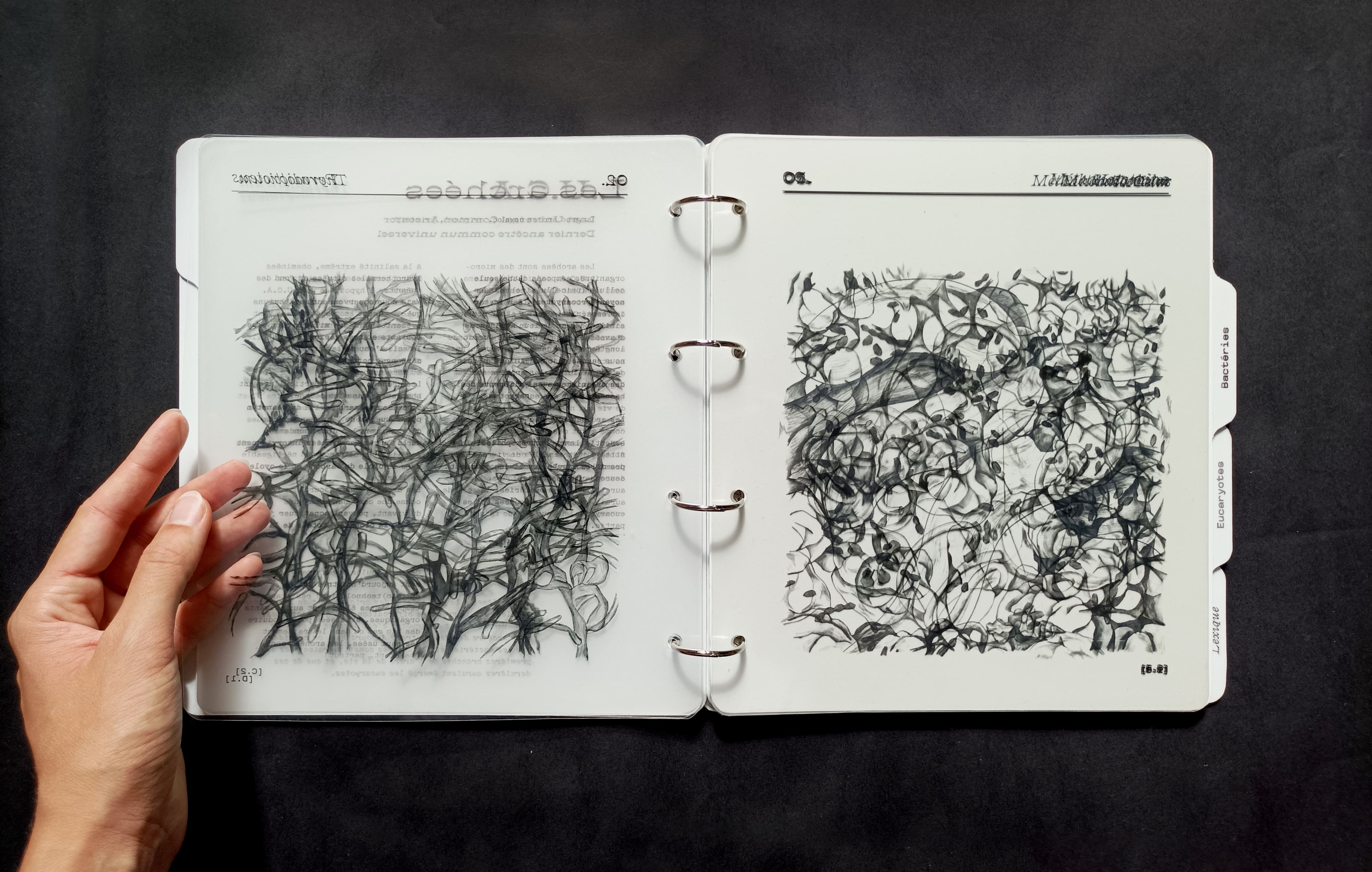 Le petit monde, double page