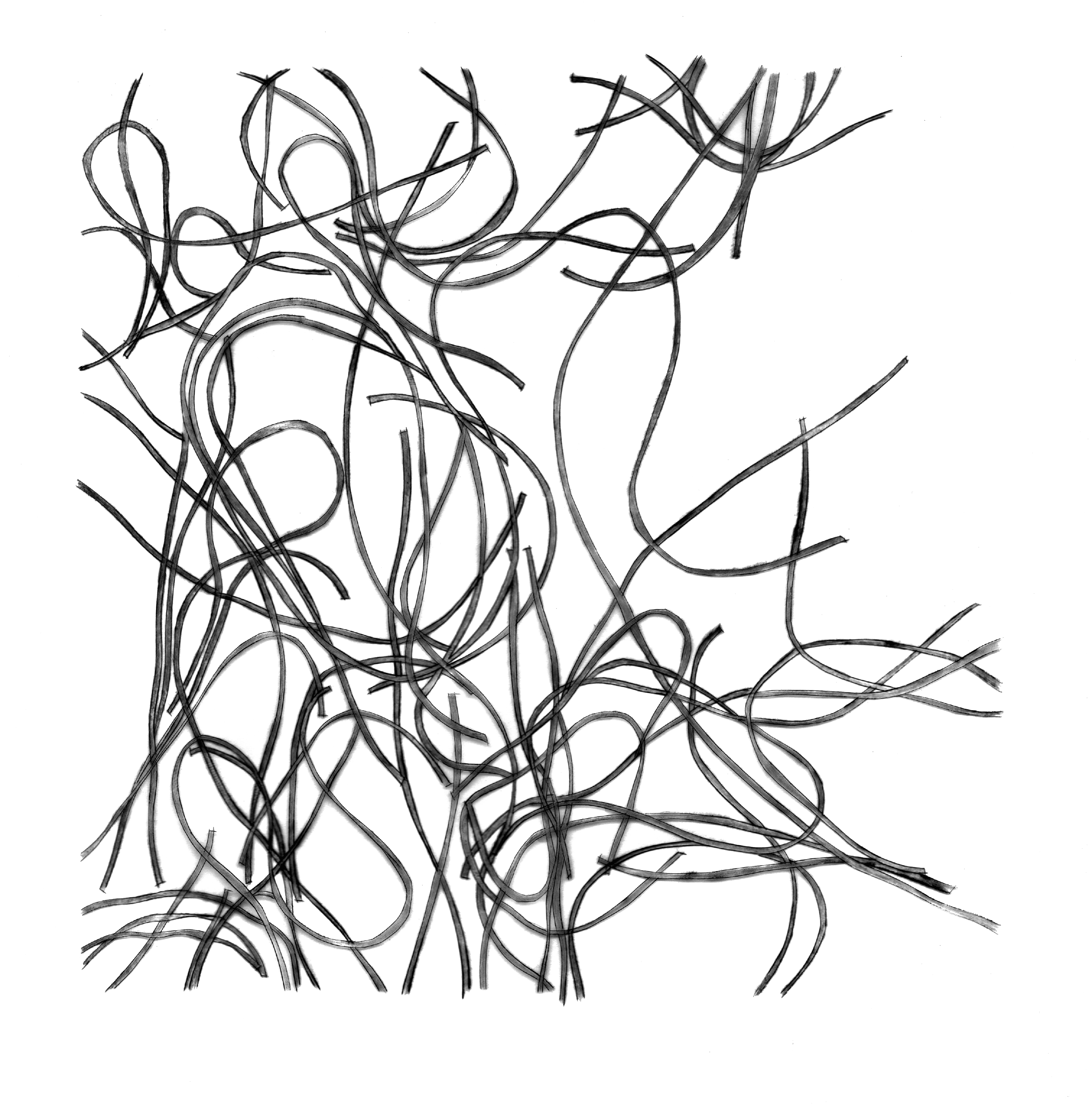 Le petit monde, illustration de micro-organisme