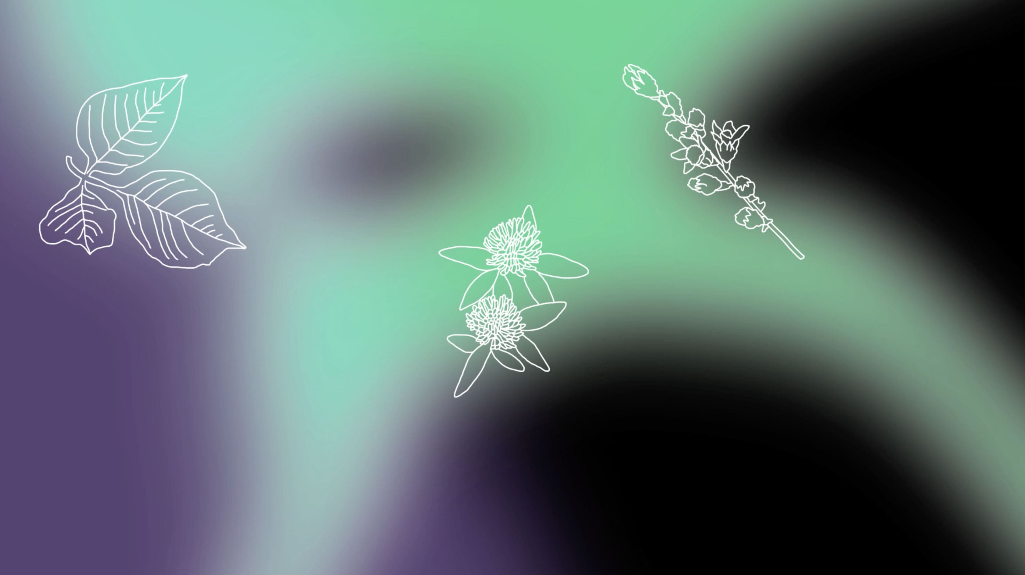 Concert Botanica!, screenshot d'animation