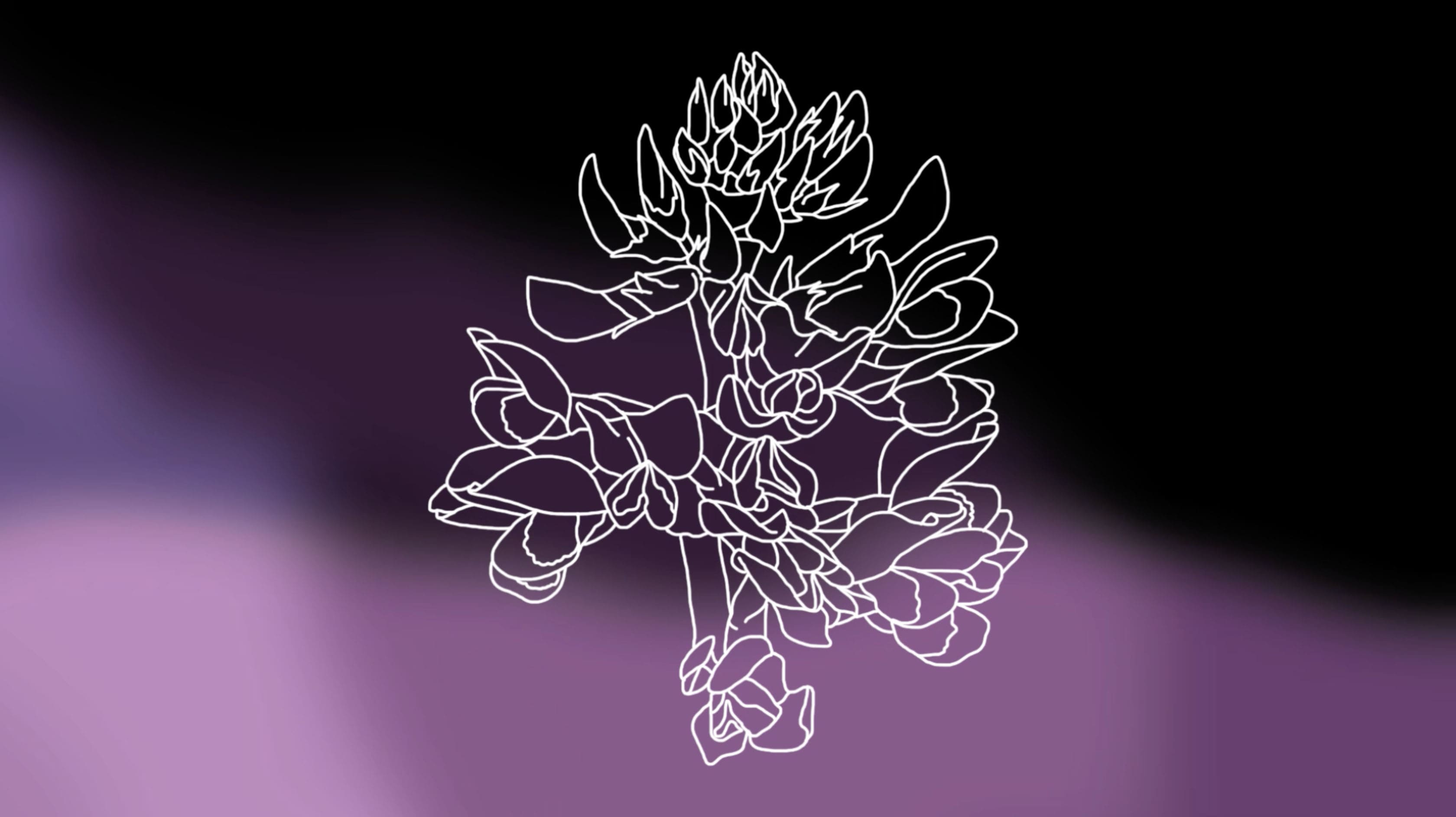 Concert Botanica!, screenshot d'animation