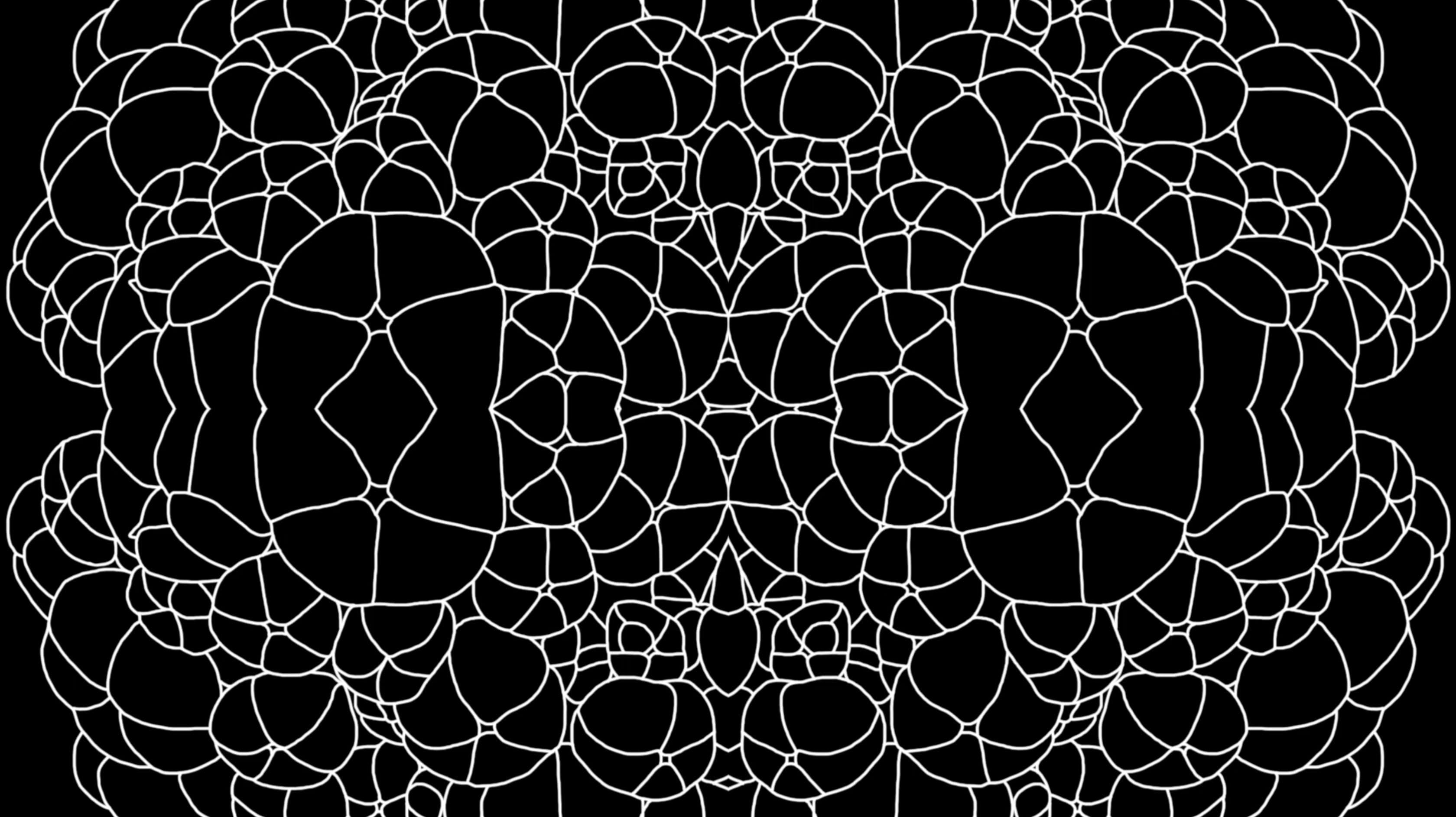 Concert Botanica!, screenshot d'animation