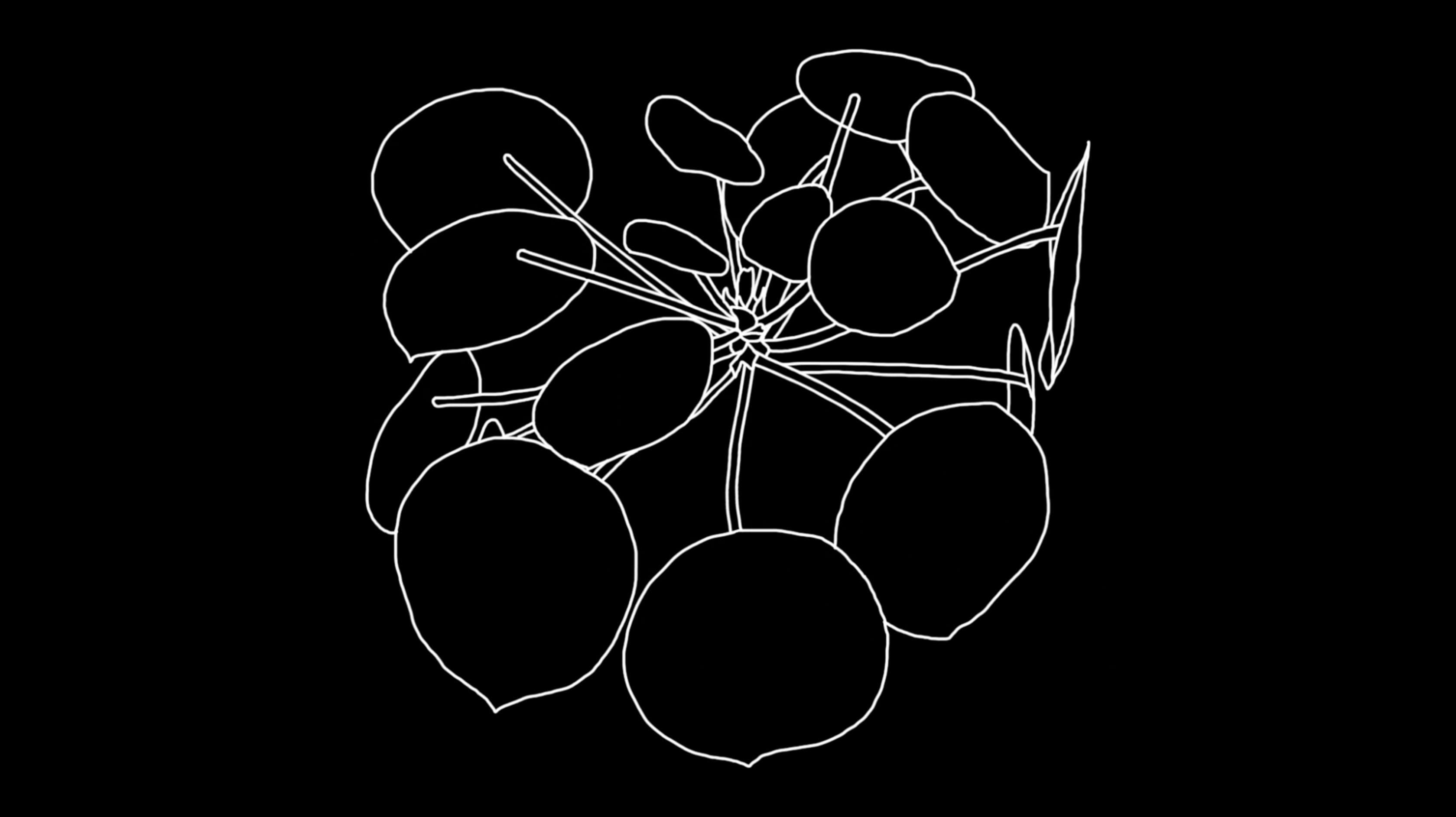 Concert Botanica!, screenshot d'animation