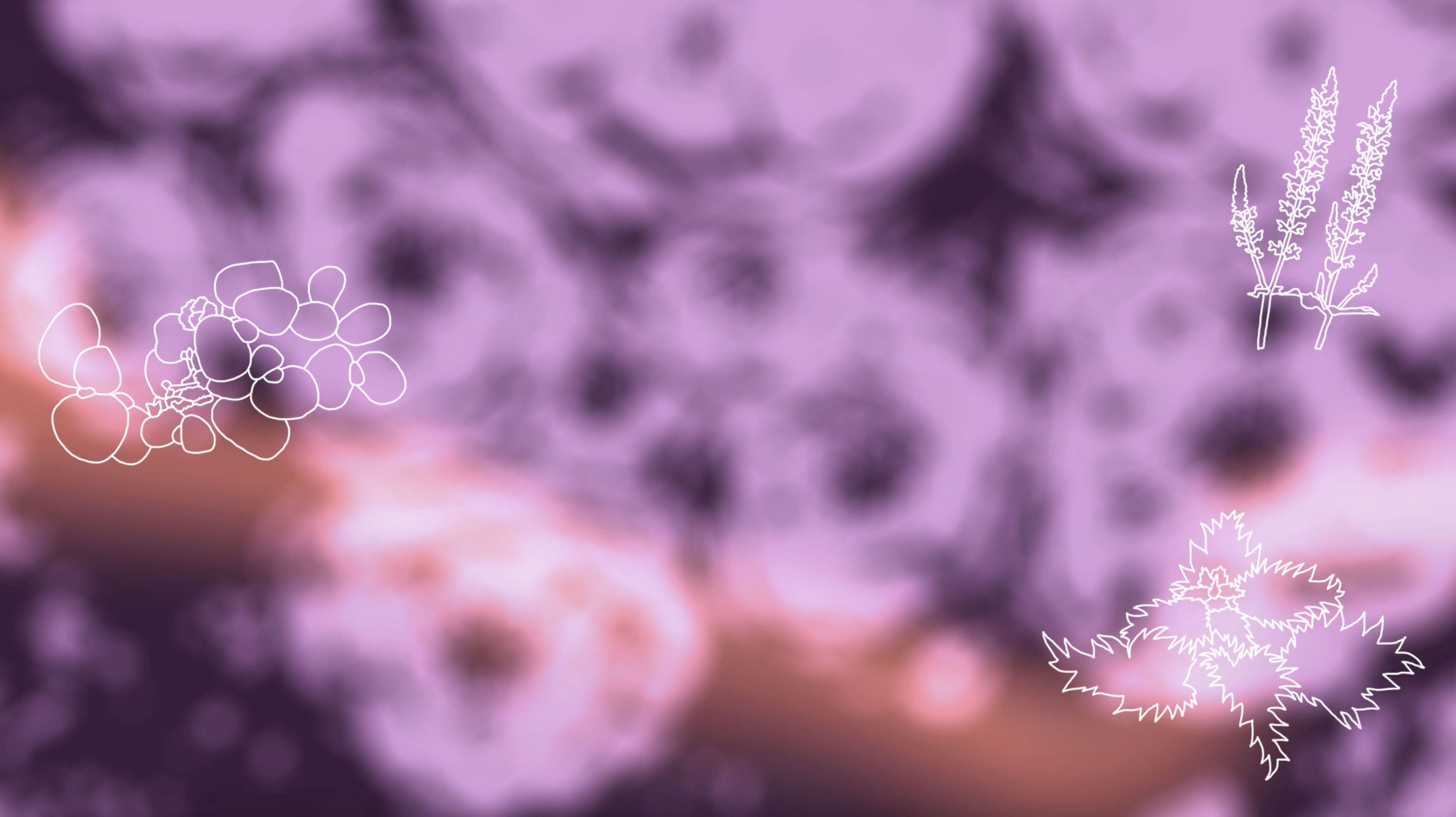 Concert Botanica!, screenshot d'animation