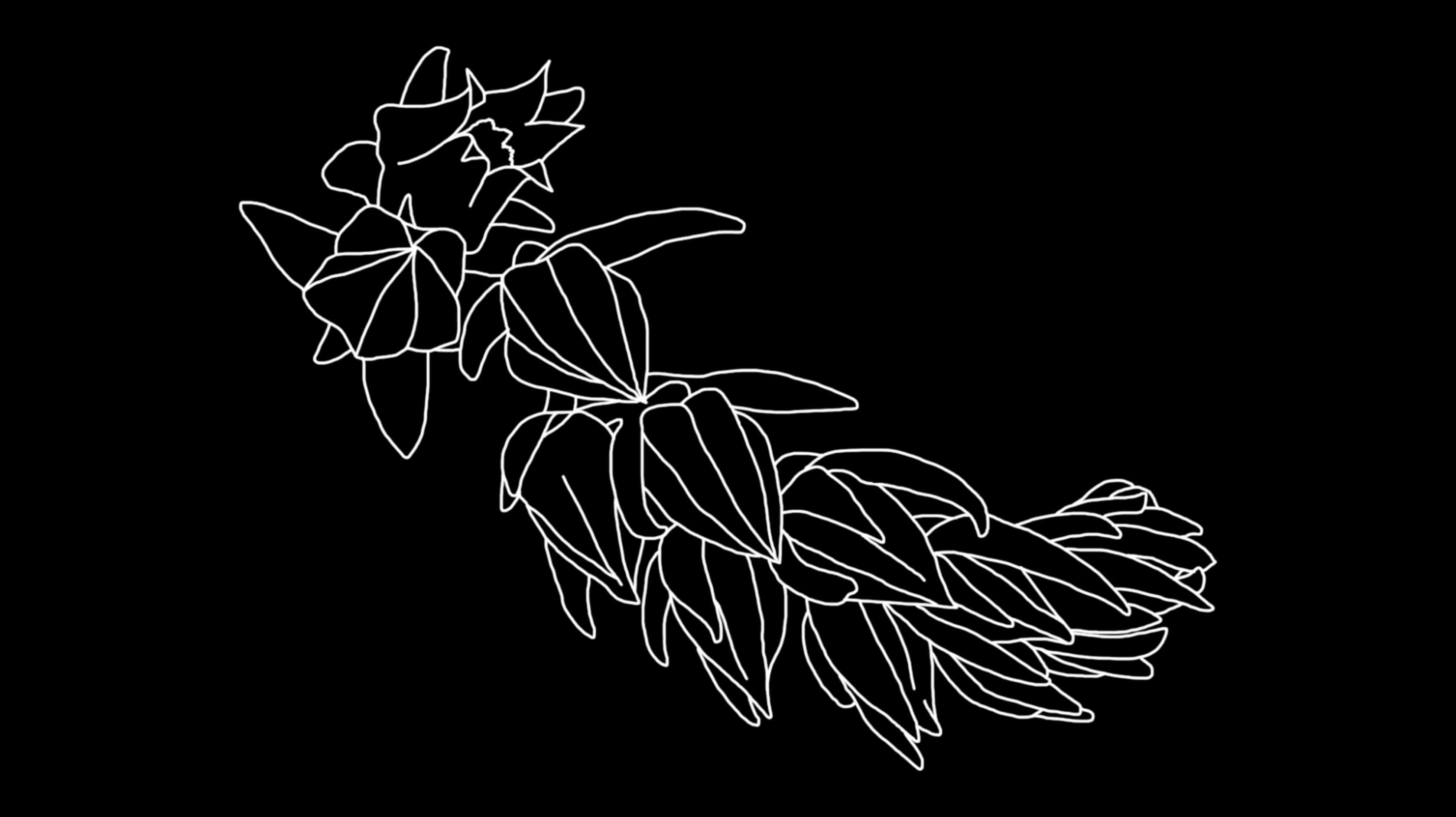 Concert Botanica!, screenshot d'animation