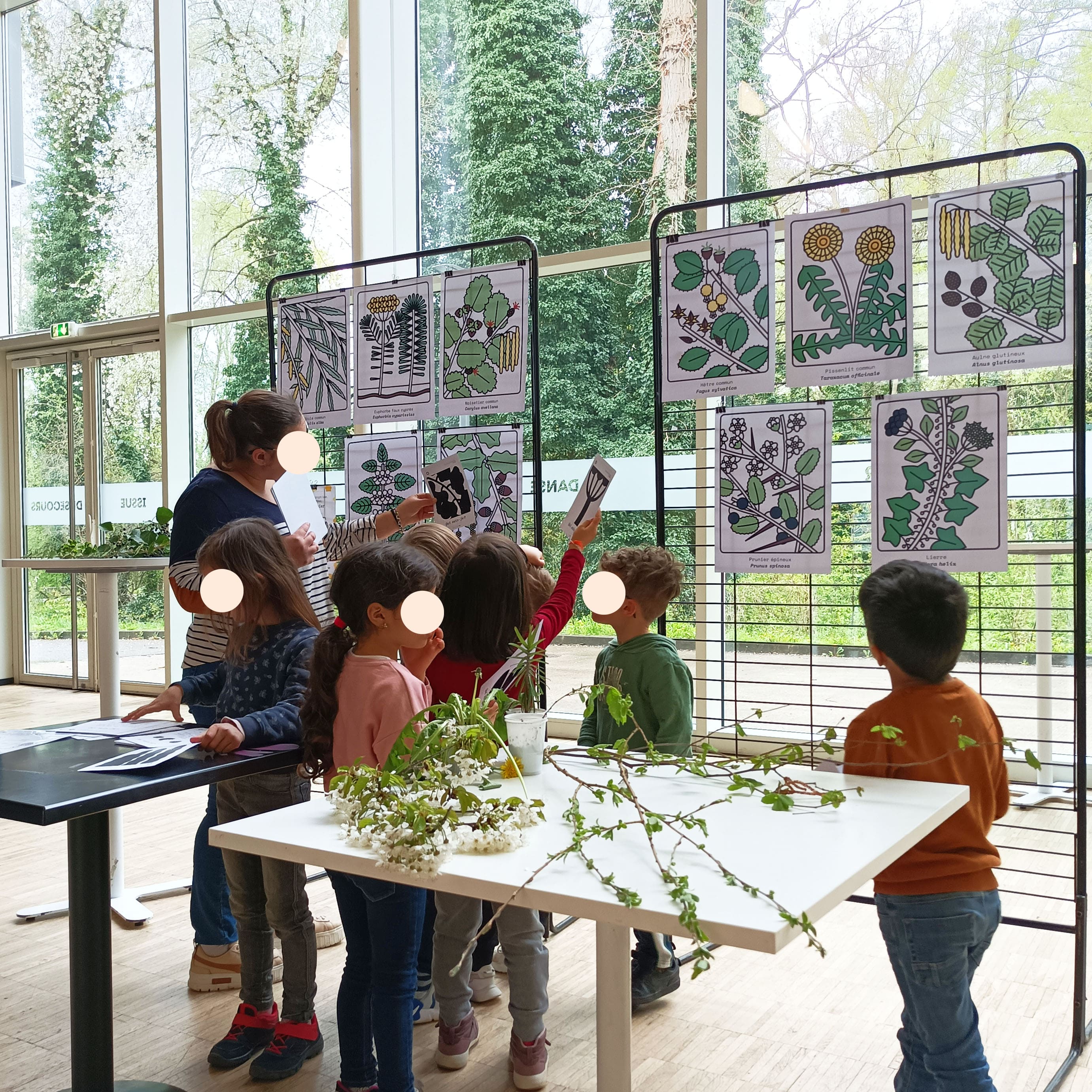 Ateliers botaniques, Curieux Festival, photo de l'atelier devinettes botaniques en utilisation