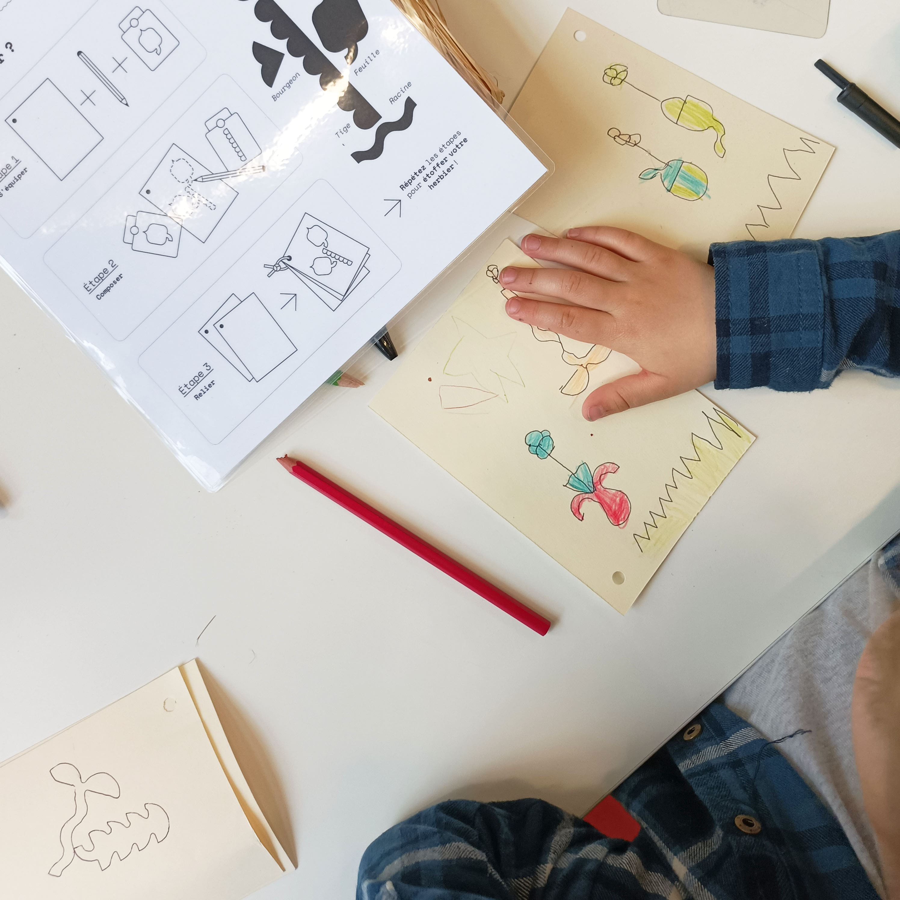 Ateliers botaniques, Curieux Festival, photo de l'atelier herbier imaginaire en utilisation