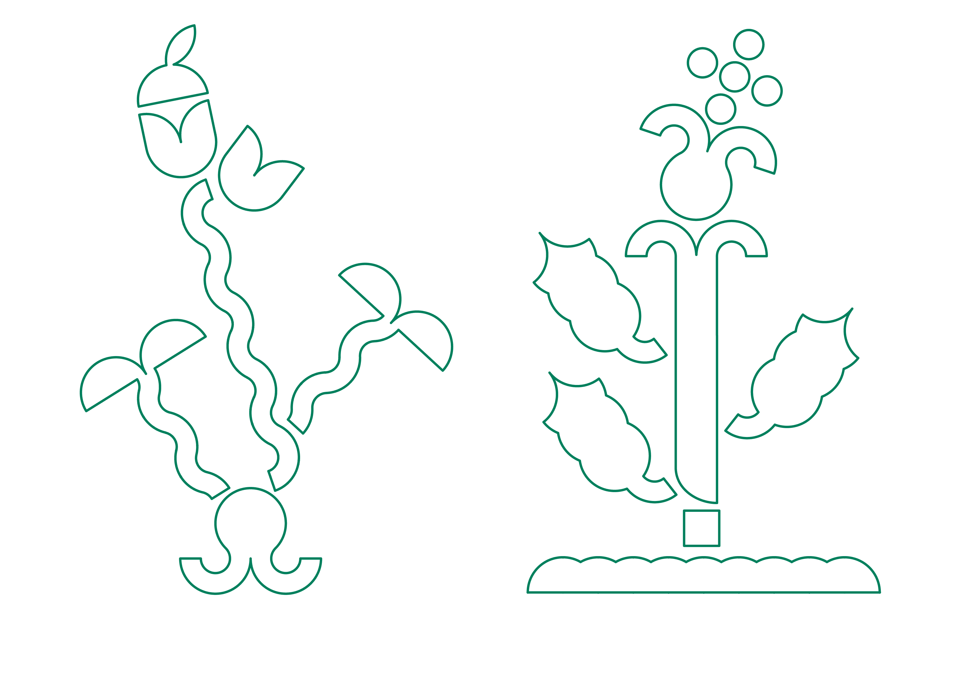 Ateliers botaniques, Curieux Festival, herbier imaginaire, dessin de plantes avec les modules 