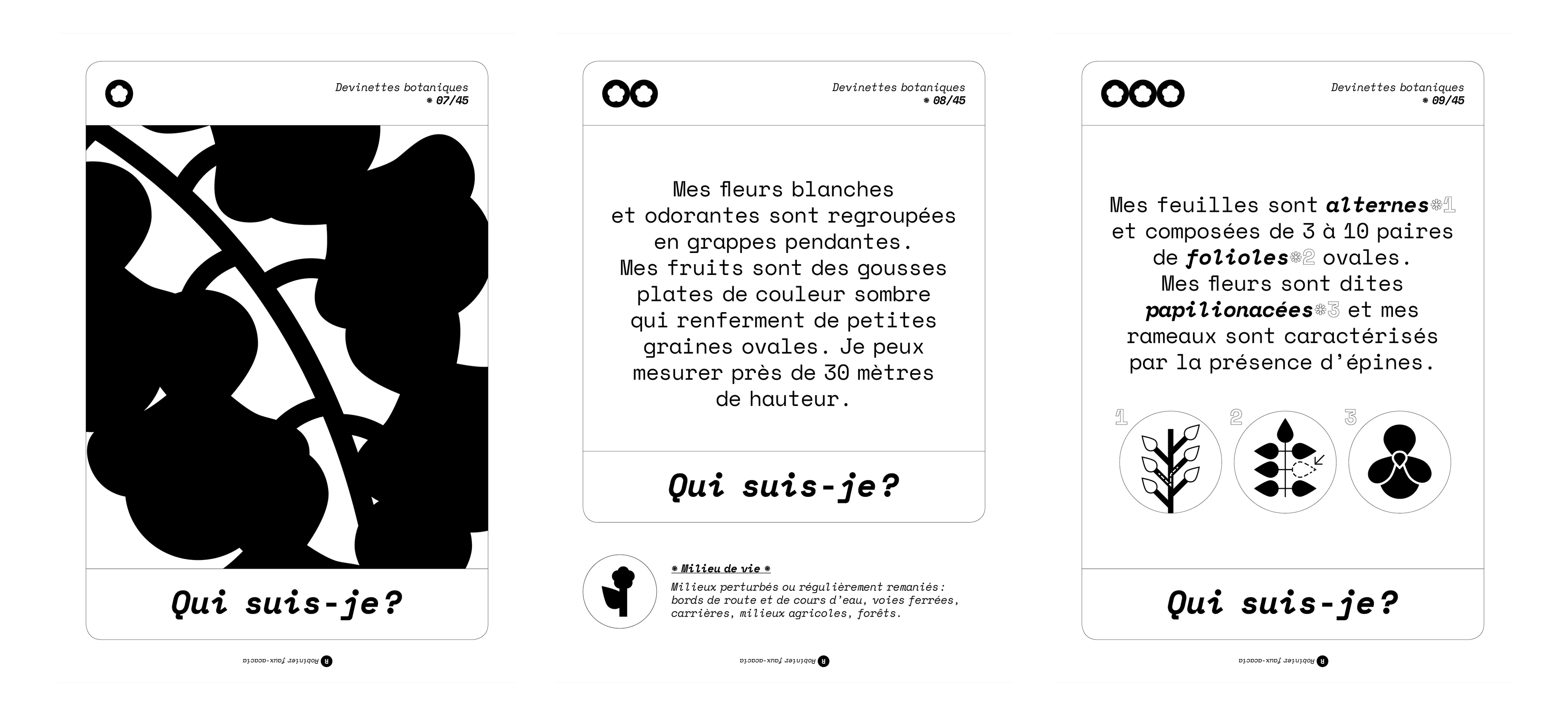 Ateliers botaniques, Curieux Festival, cartes devinettes 