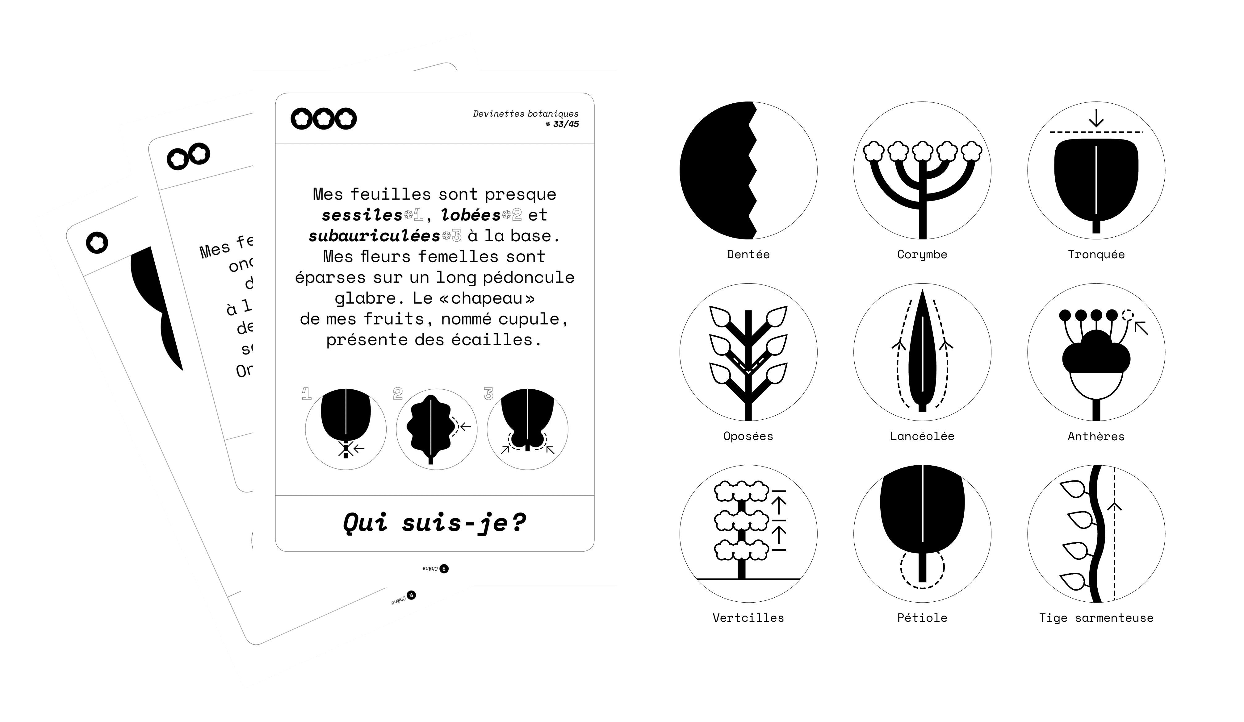 Ateliers botaniques, Curieux Festival, cartes devinettes et icônes